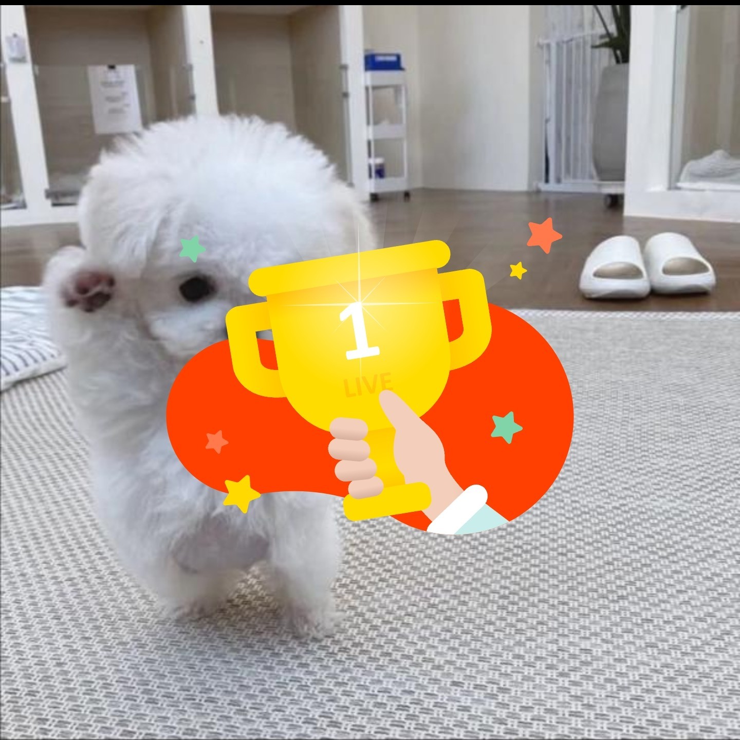 이런 나라도 좋아해줘.