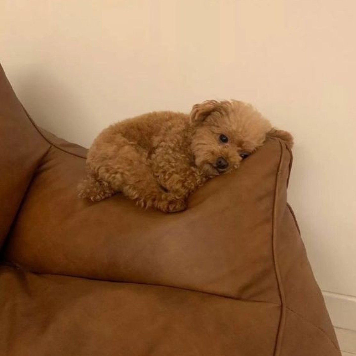 낮 2시 낮잠 자러 오세요