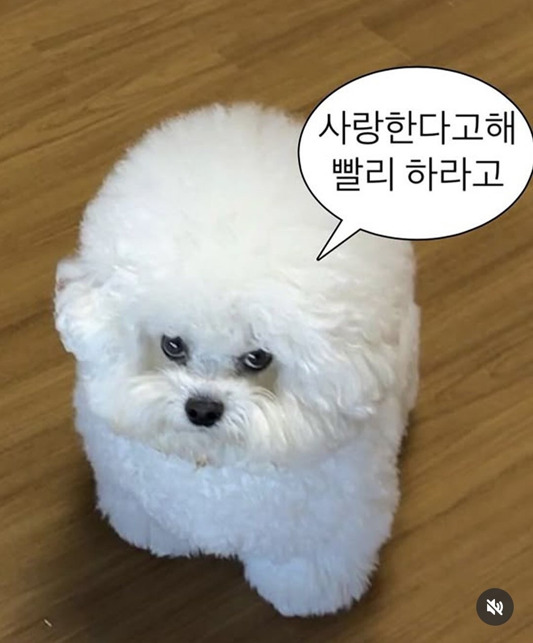 단아의 신점방송 !