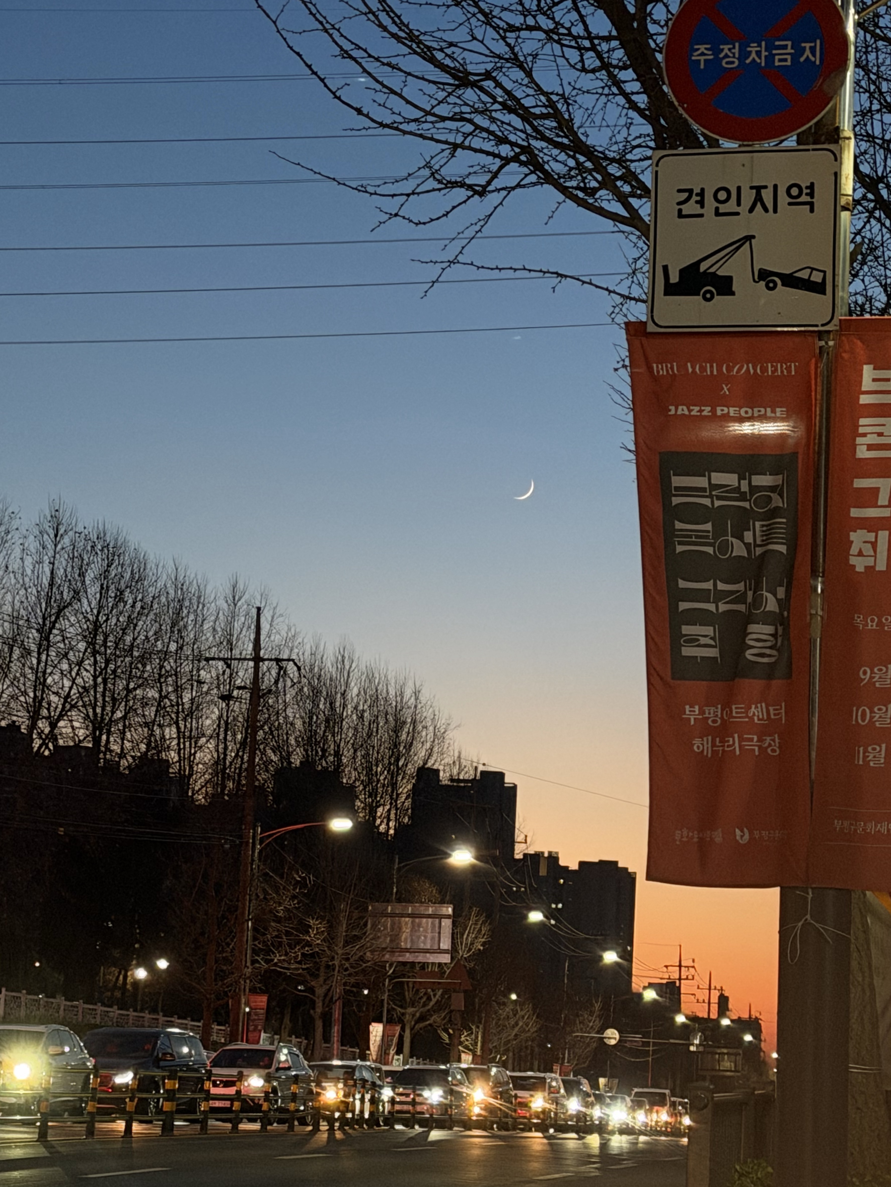 오늘도 심심한 도비