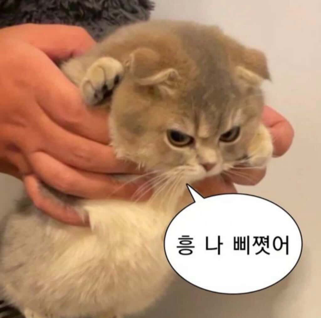 말 못하니 챗팅치세요