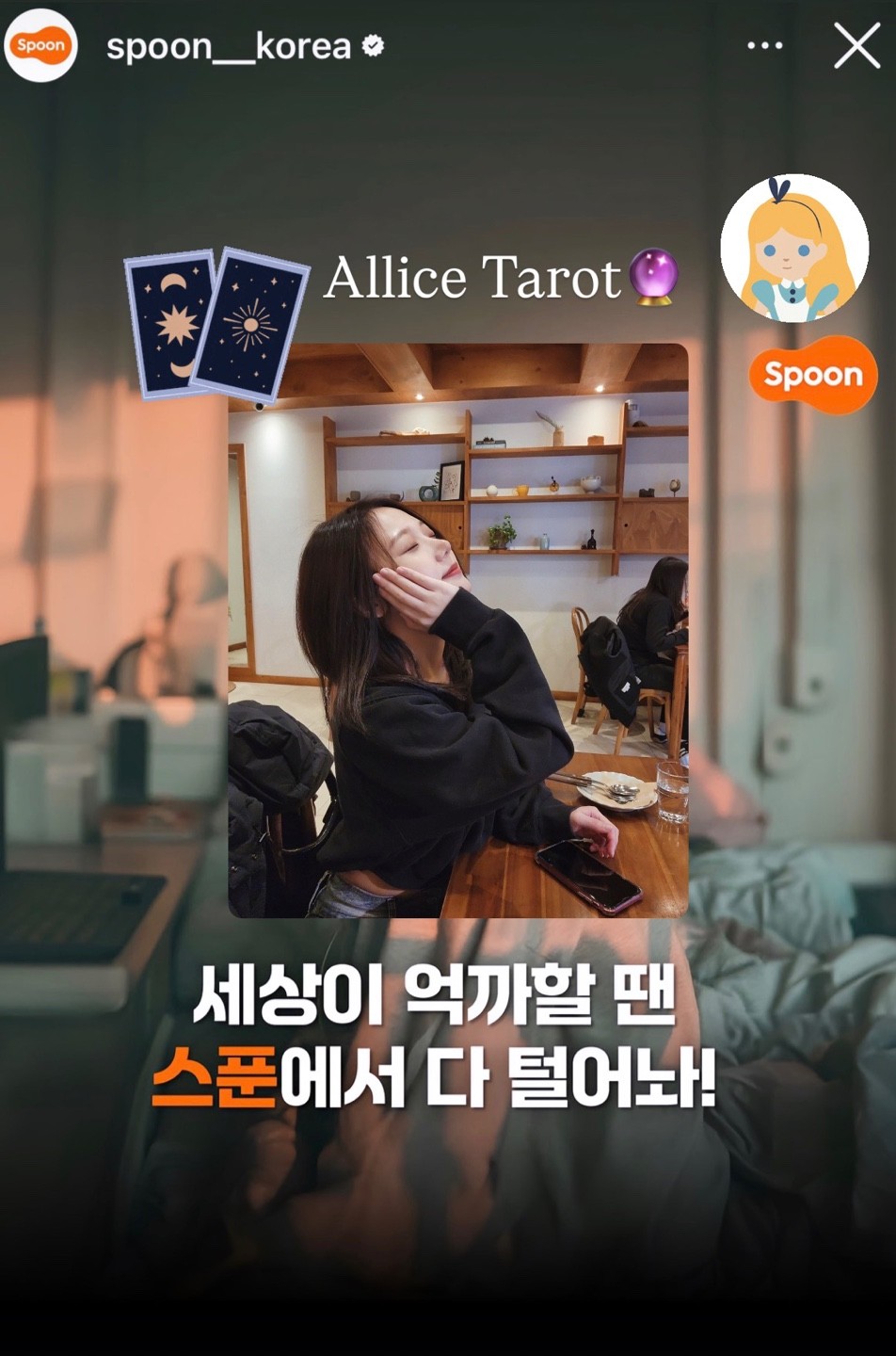 영타로 2026 연애운♥️금전운✨