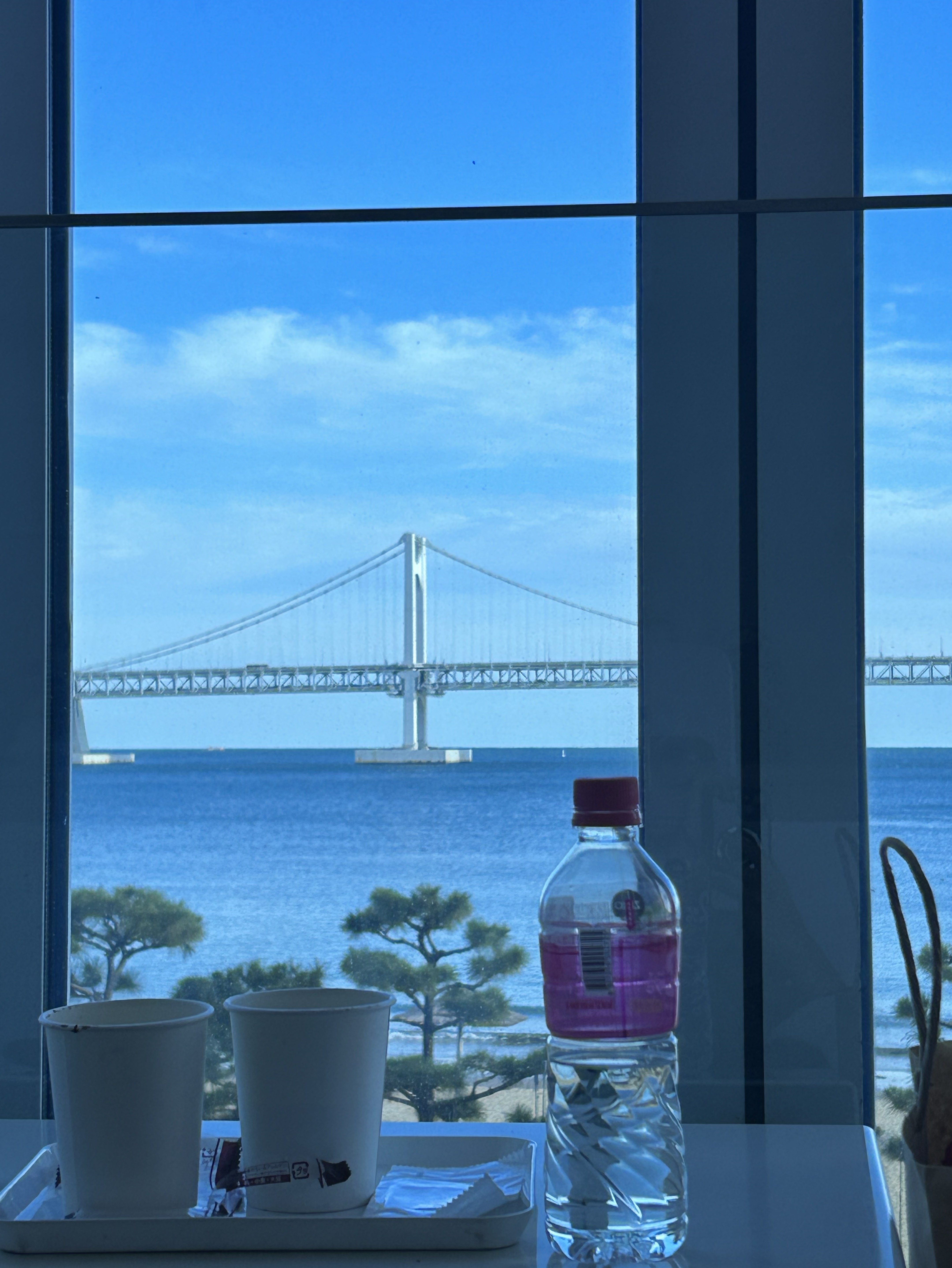 N년지기 친구같은🐶