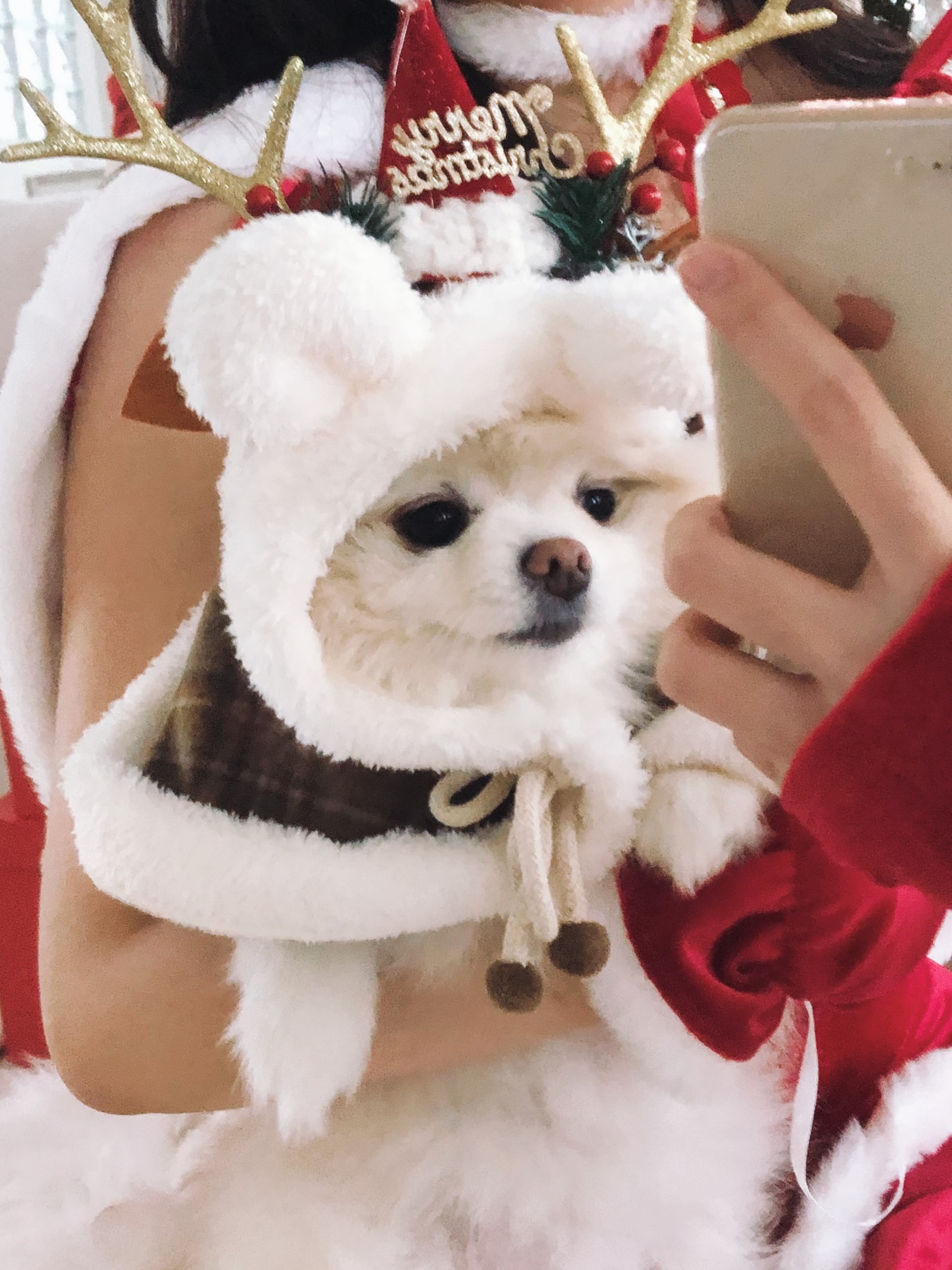 독보적 아희🎄