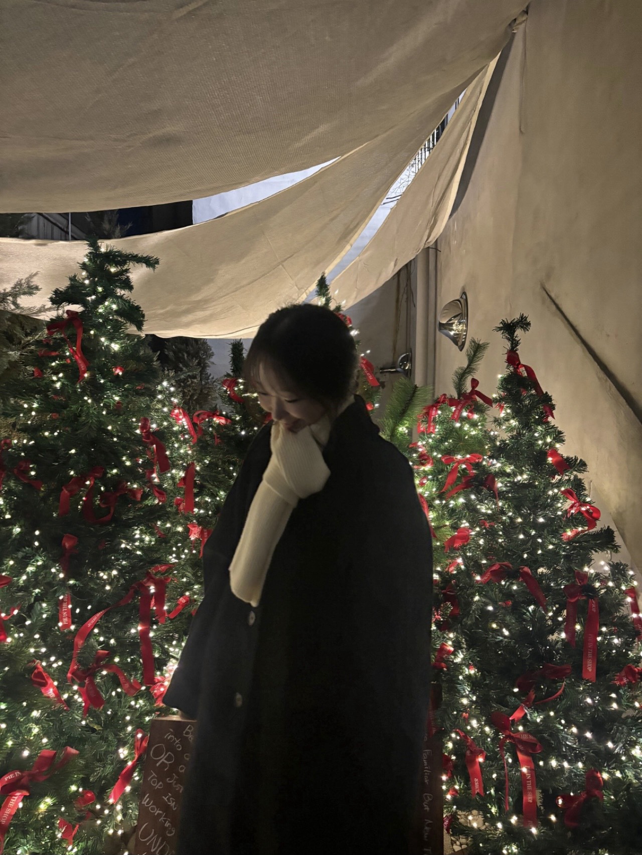 Merry Christmas ❤️