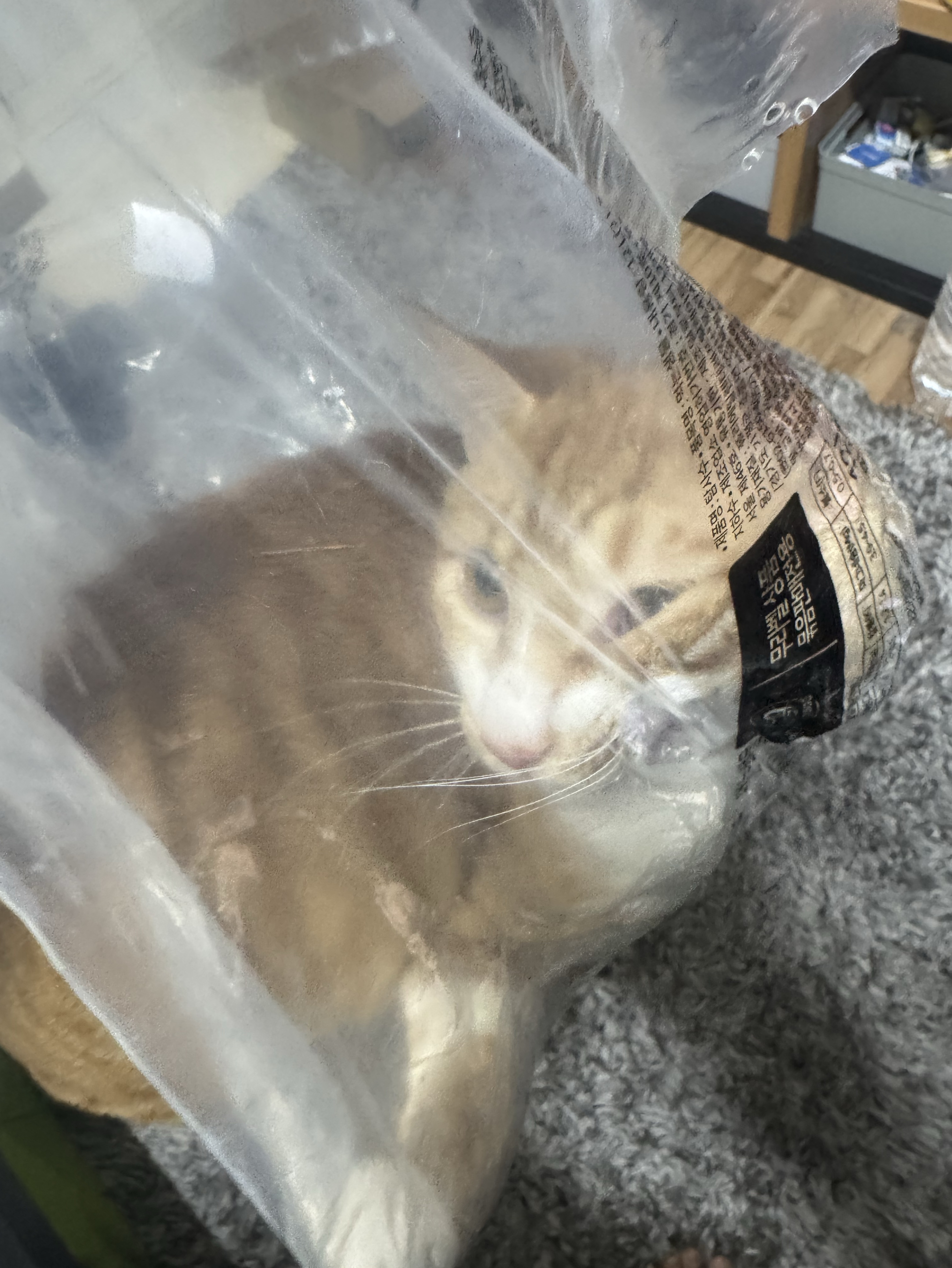 #13. 보고싶어, 언제와?