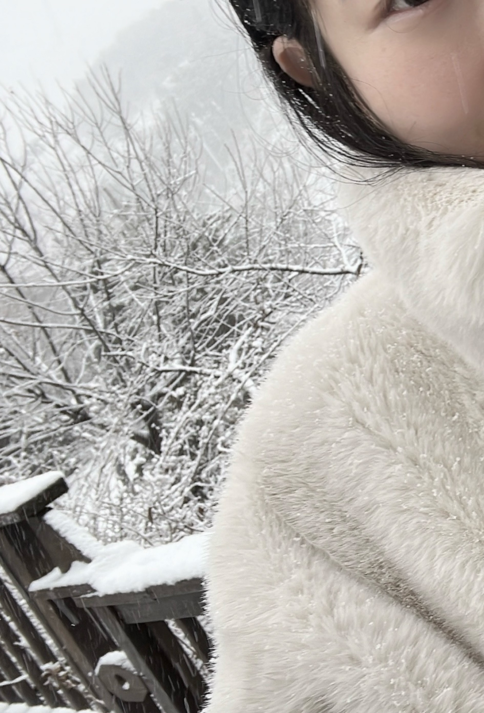 𝙈𝙚𝙧𝙧𝙮 𝘾𝙝𝙧𝙞𝙨𝙩𝙢𝙖𝙨