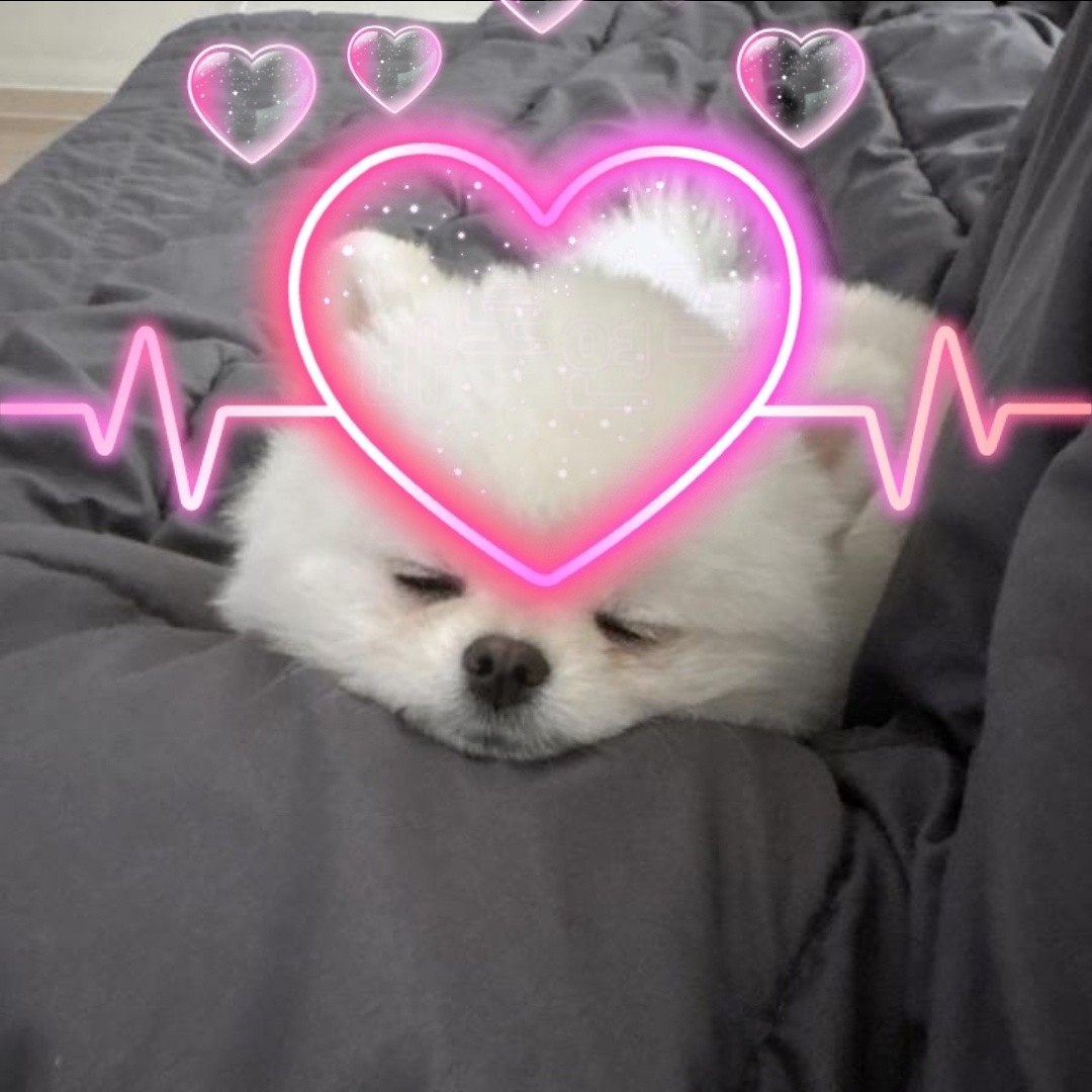 # 마감 담좌 애기크루