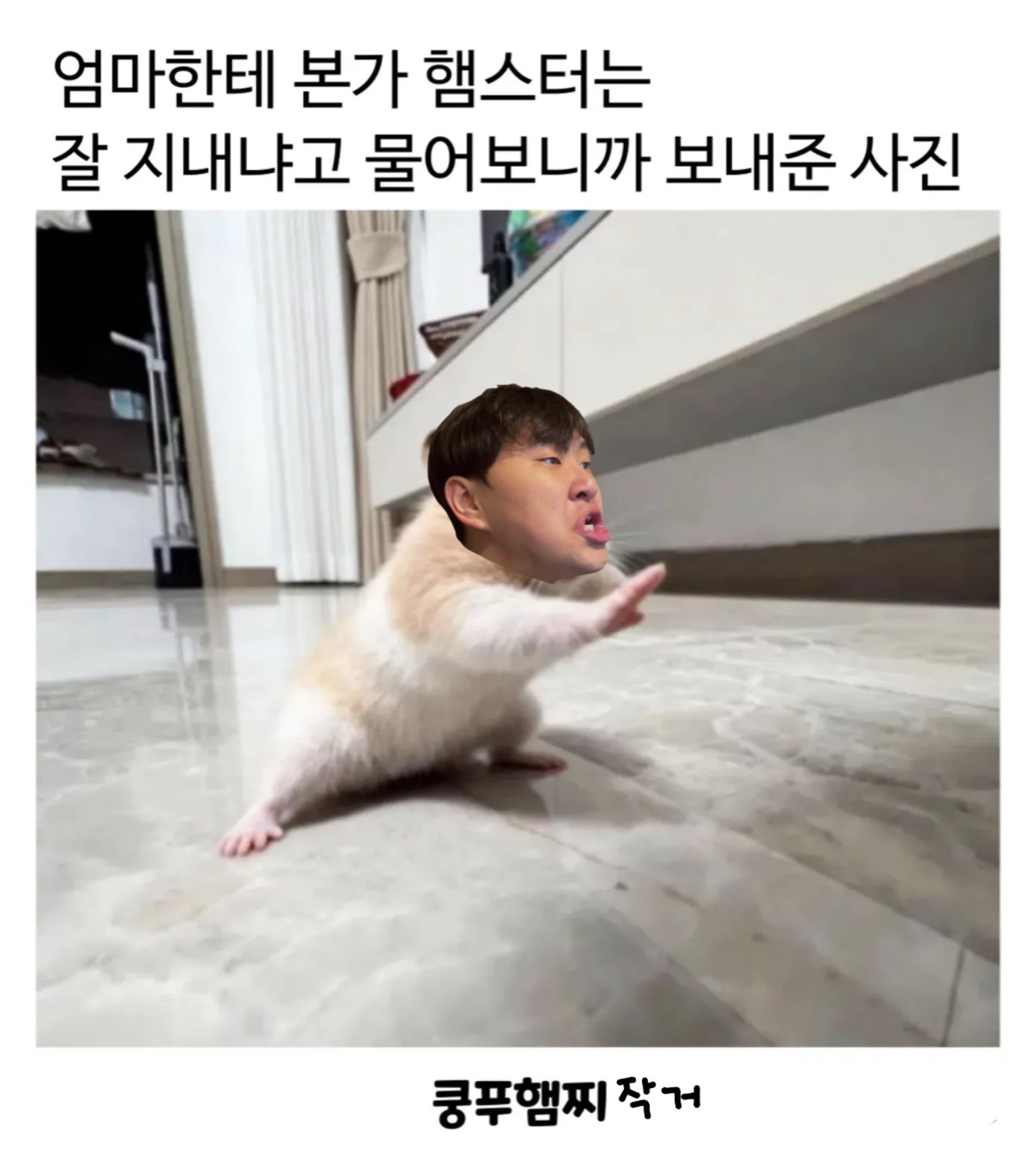 룰렛 30개 🍔
