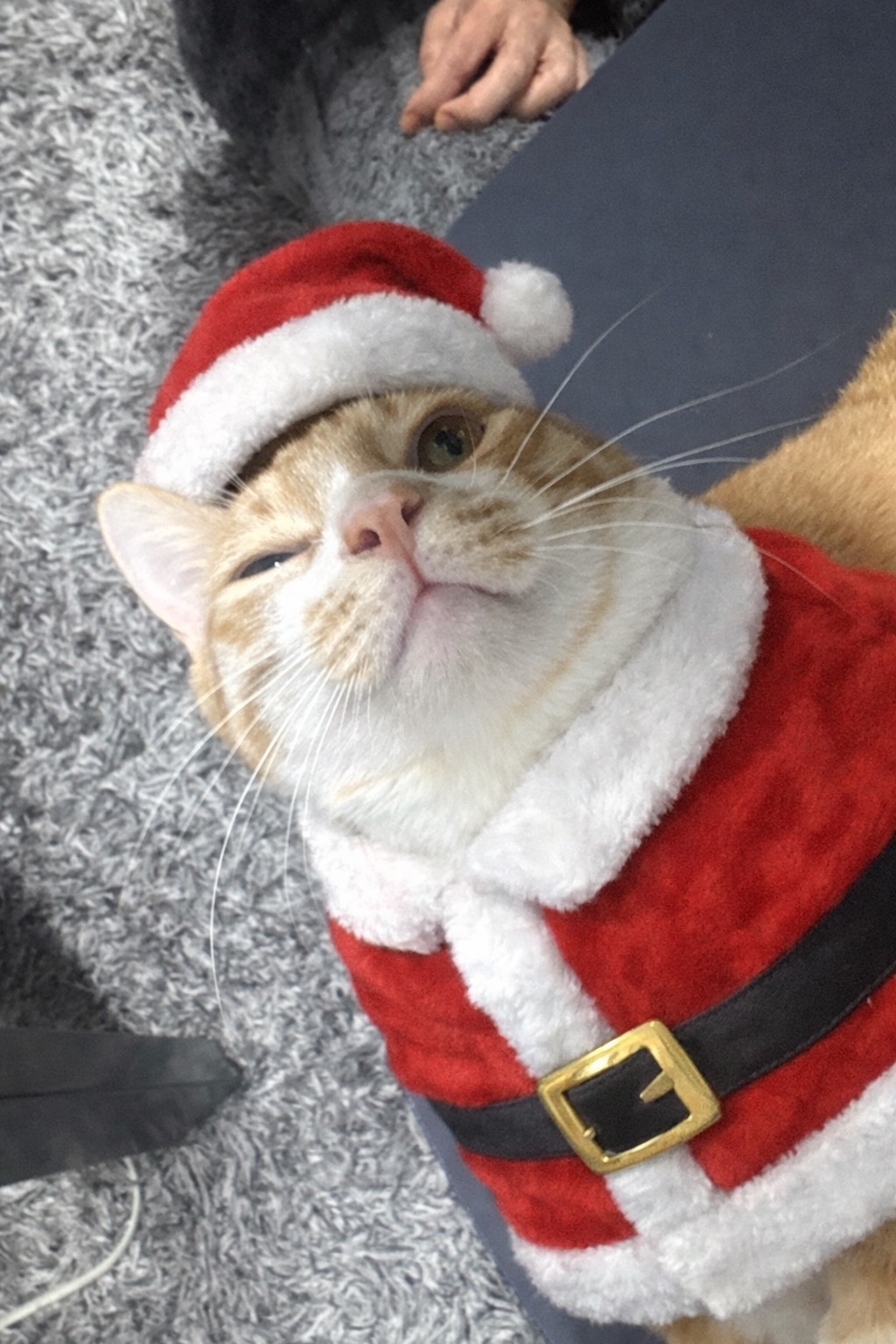 #14. 크리스마스라 보거싶어.