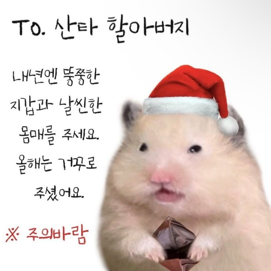 26일이다 내년엔 꼭...