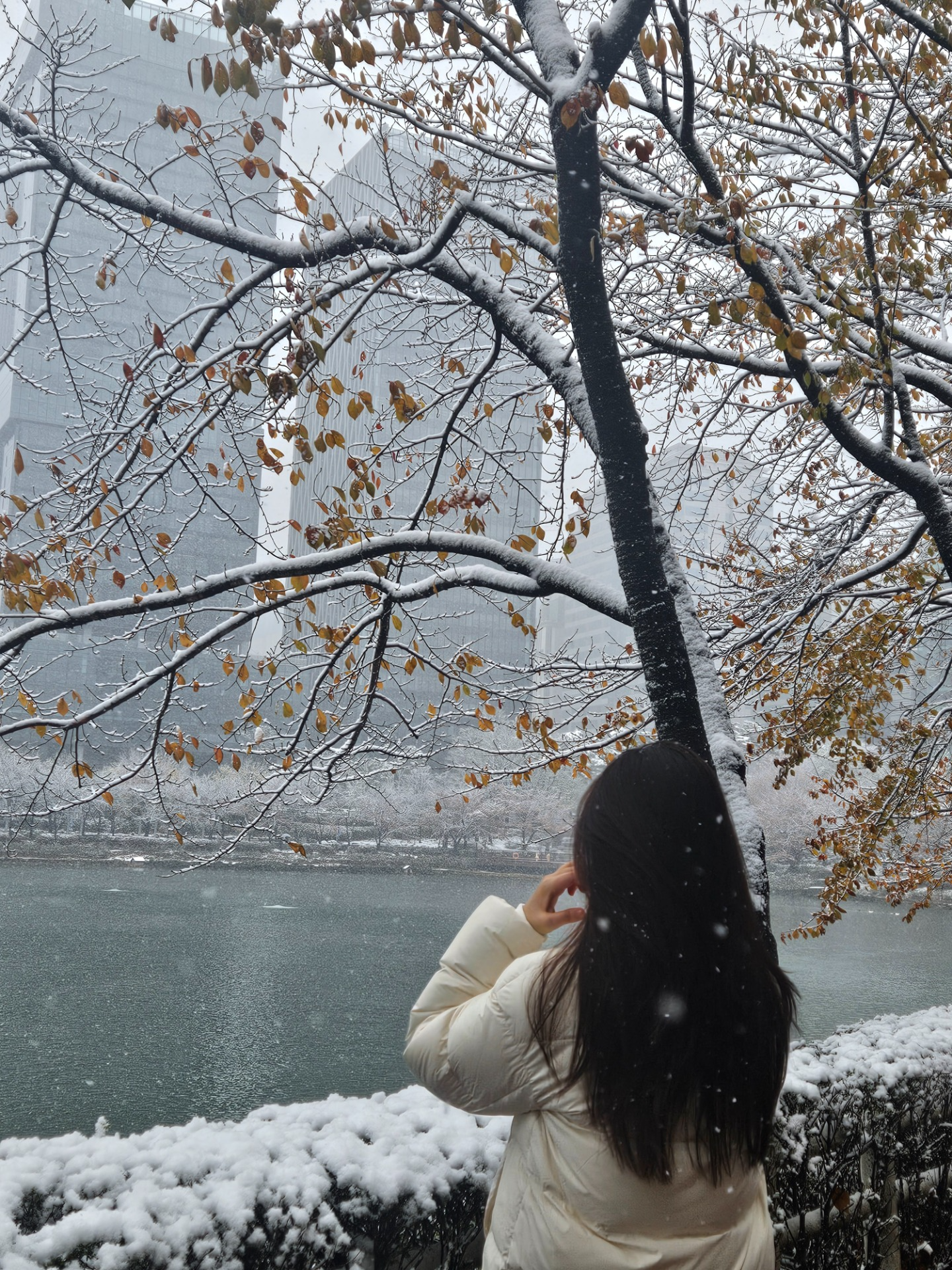 " 메리 크리스마스 노랭 "