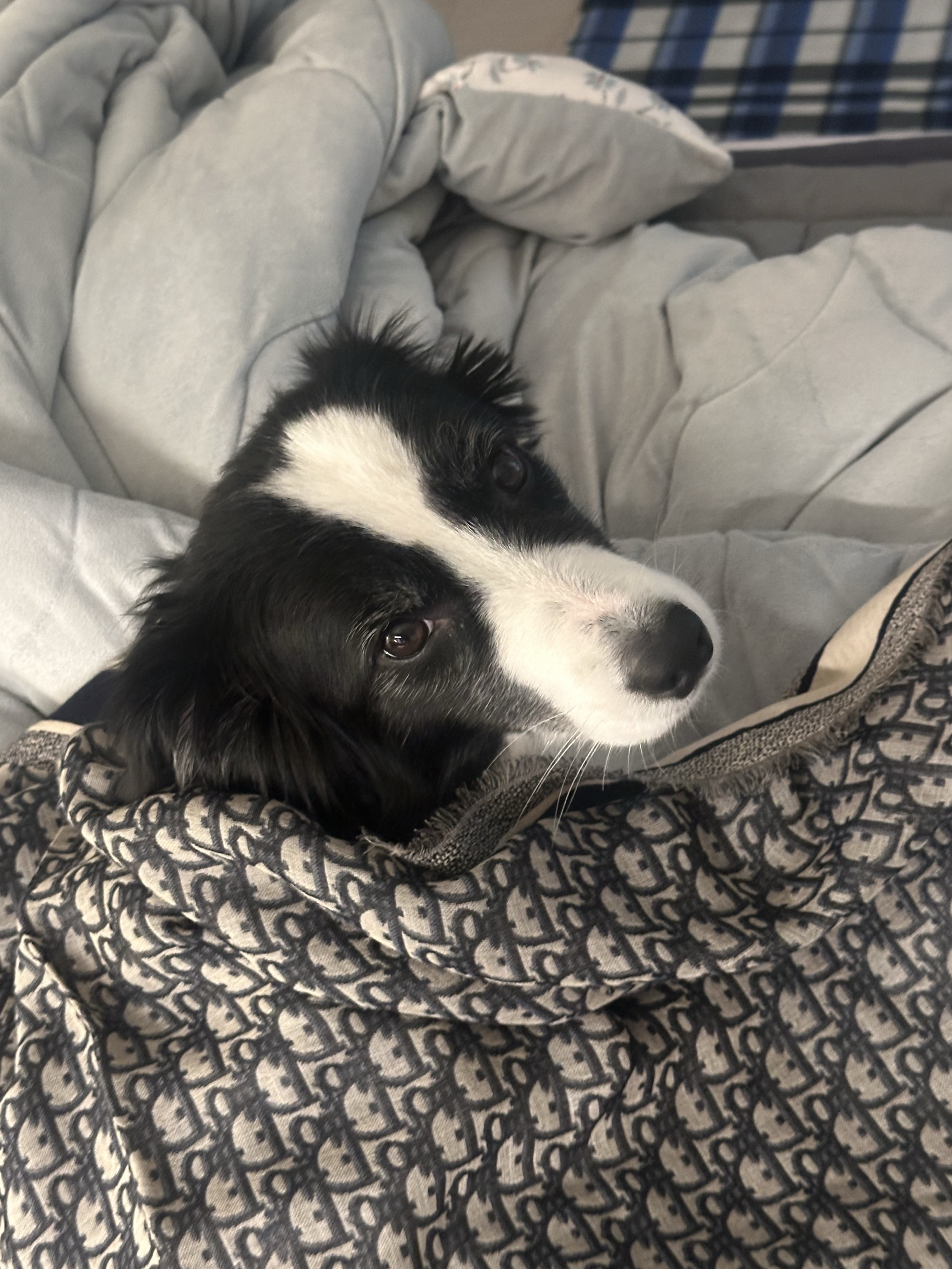 햅피 크리스마스 - 𖤐