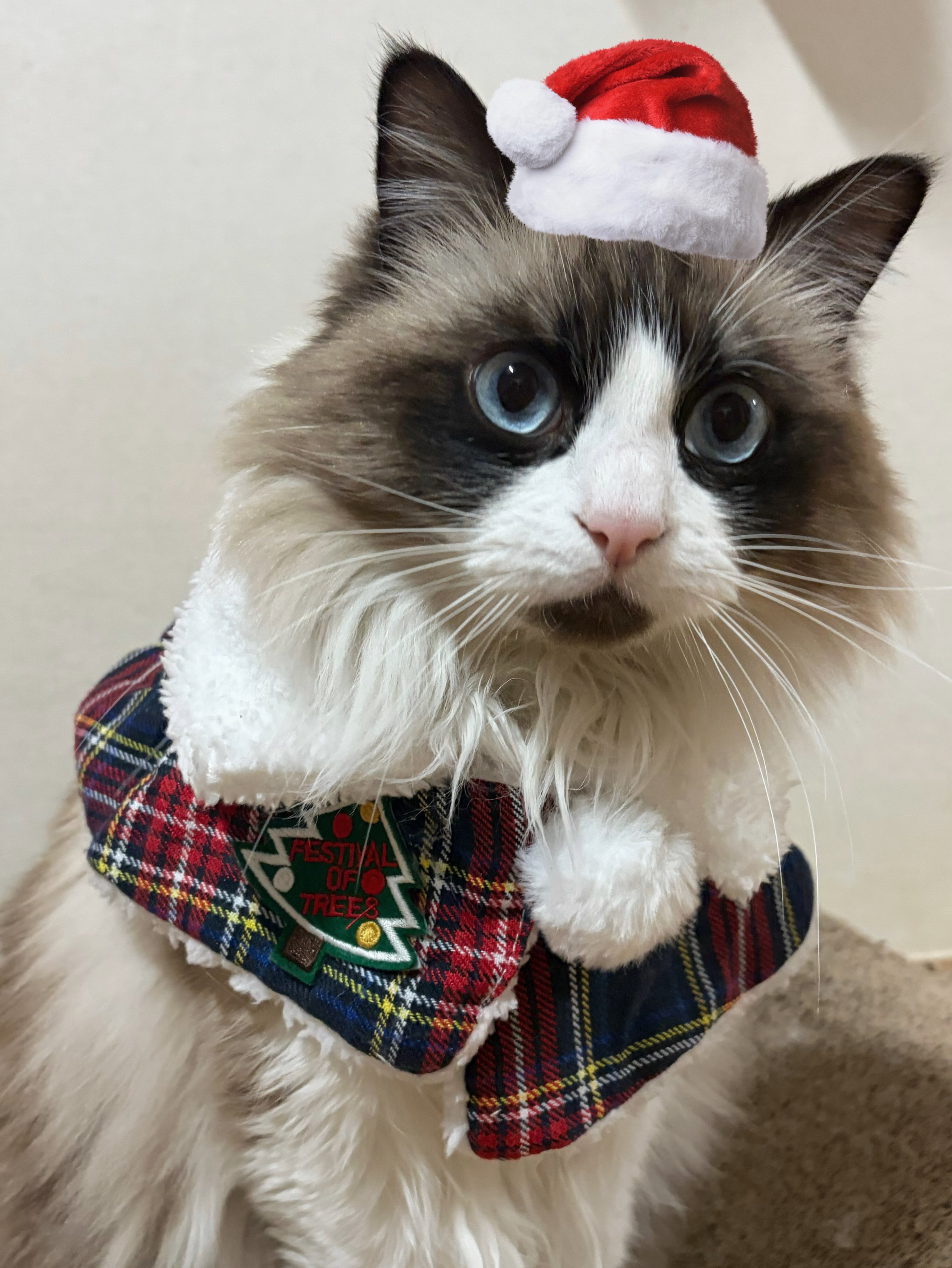 메리 크리스마스 ♡ 