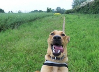 릘르러ㅜ루루루라랄