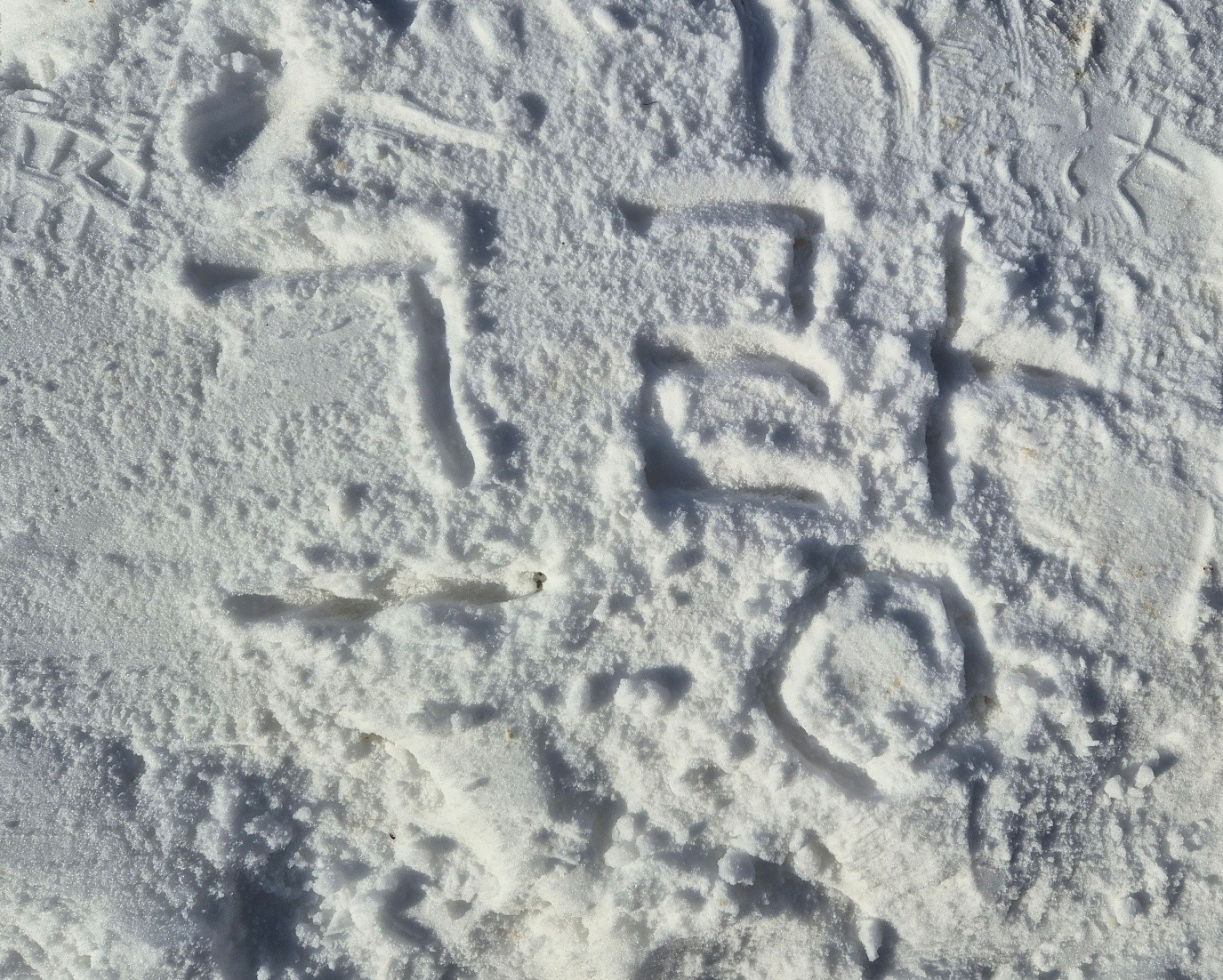 편안한 중저음 Pli방