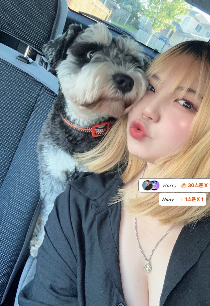 편안한 이시간,