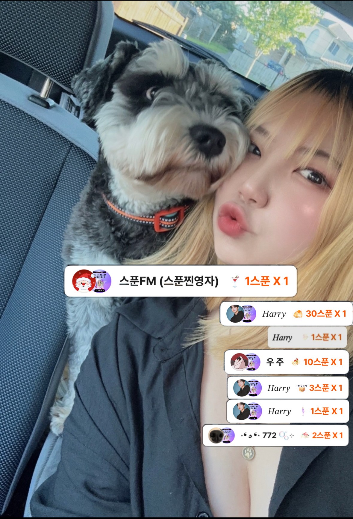 편안한 이시간,