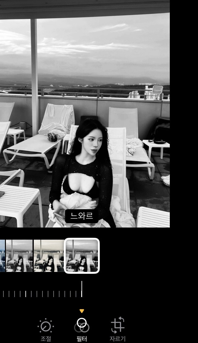 타조알아 들어오렴