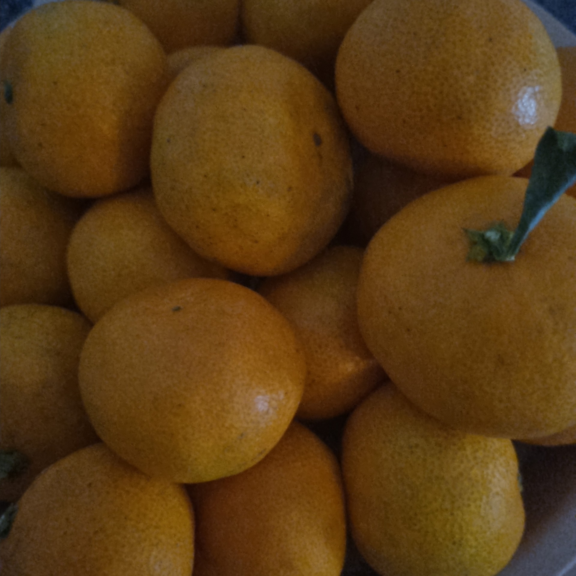 에겐녀와✨플리자유 𝓢𝓽𝓪𝓻𝓽