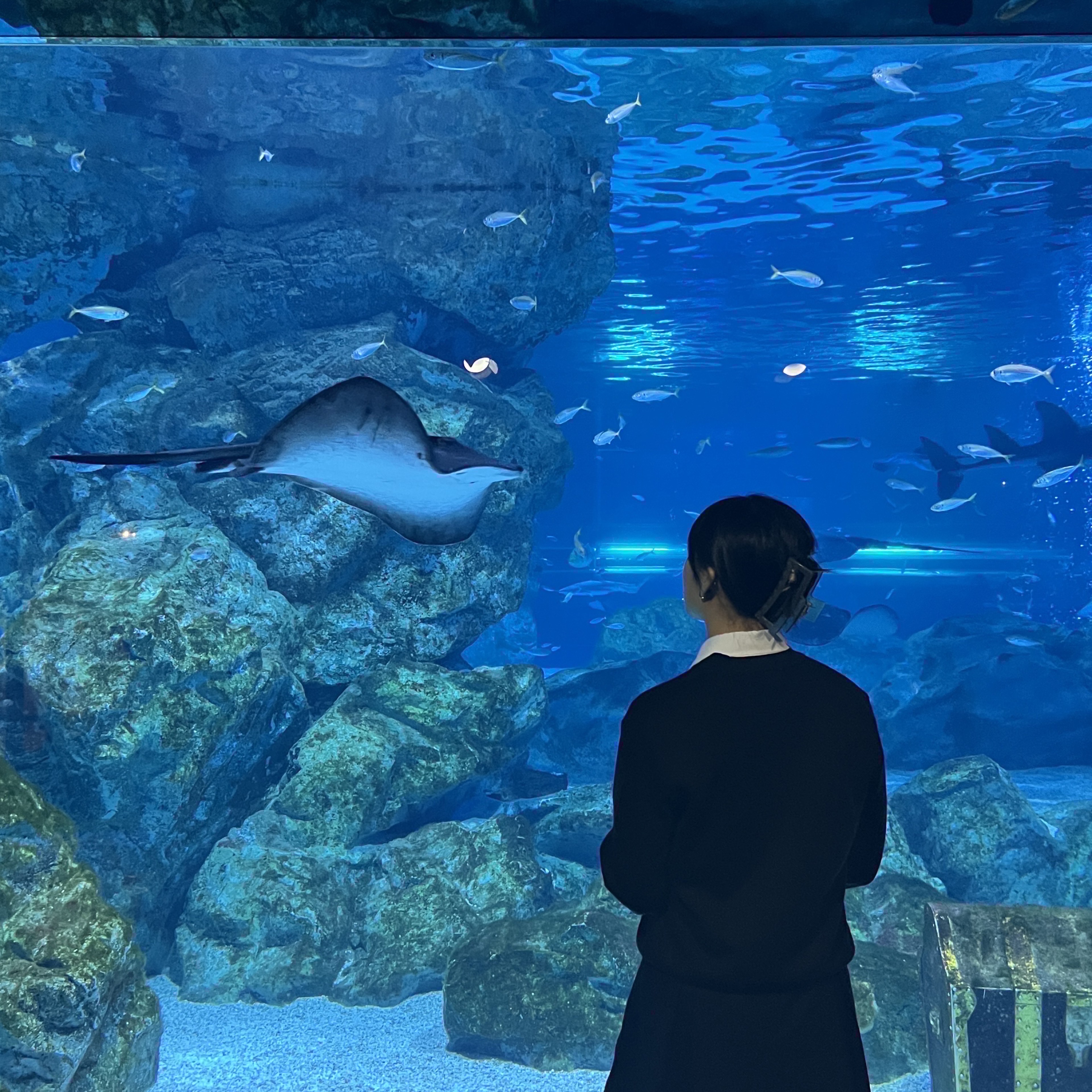 ꒰ 잔또, #_ 𝘓𝘖𝘎𝘐𝘕 ꒱