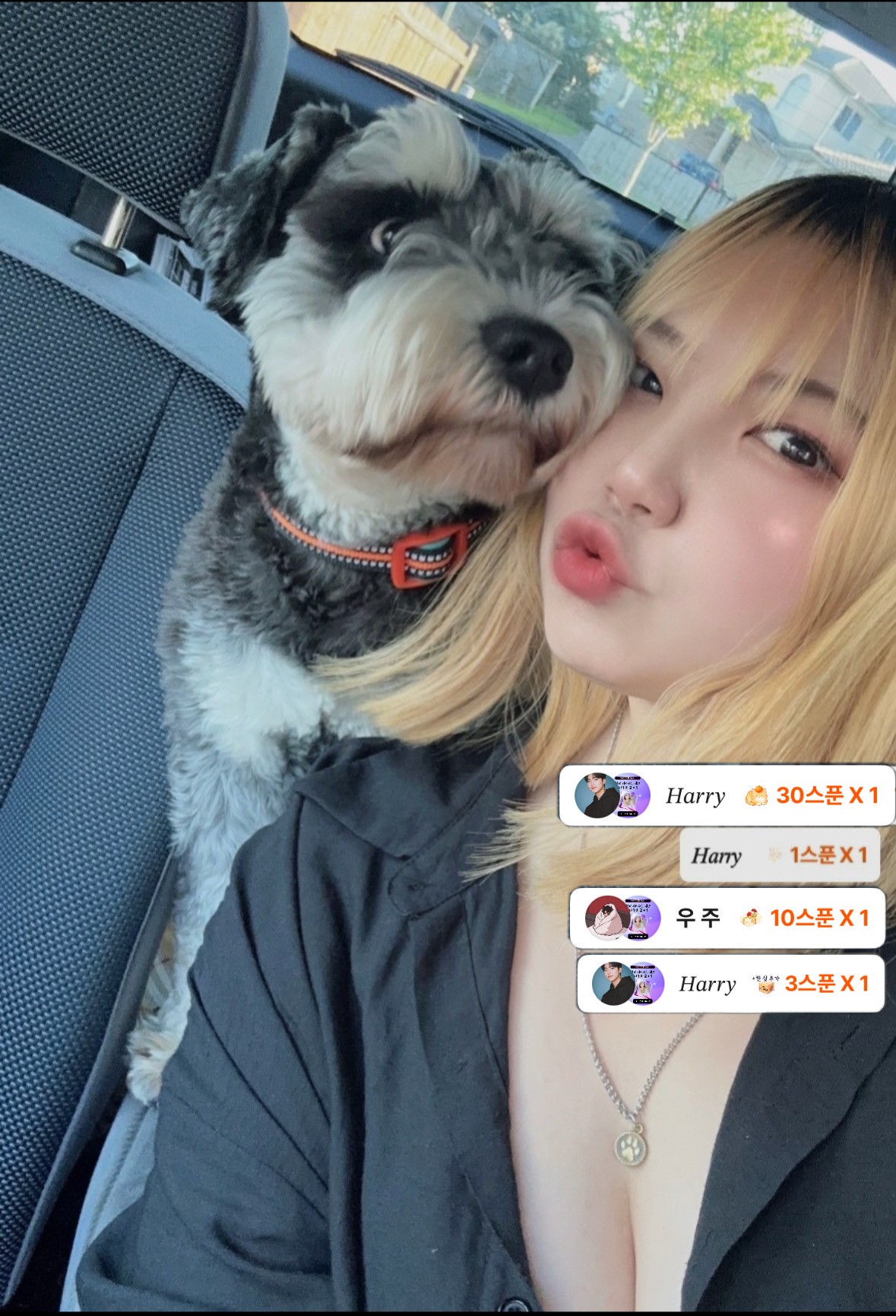 편안한 이시간,