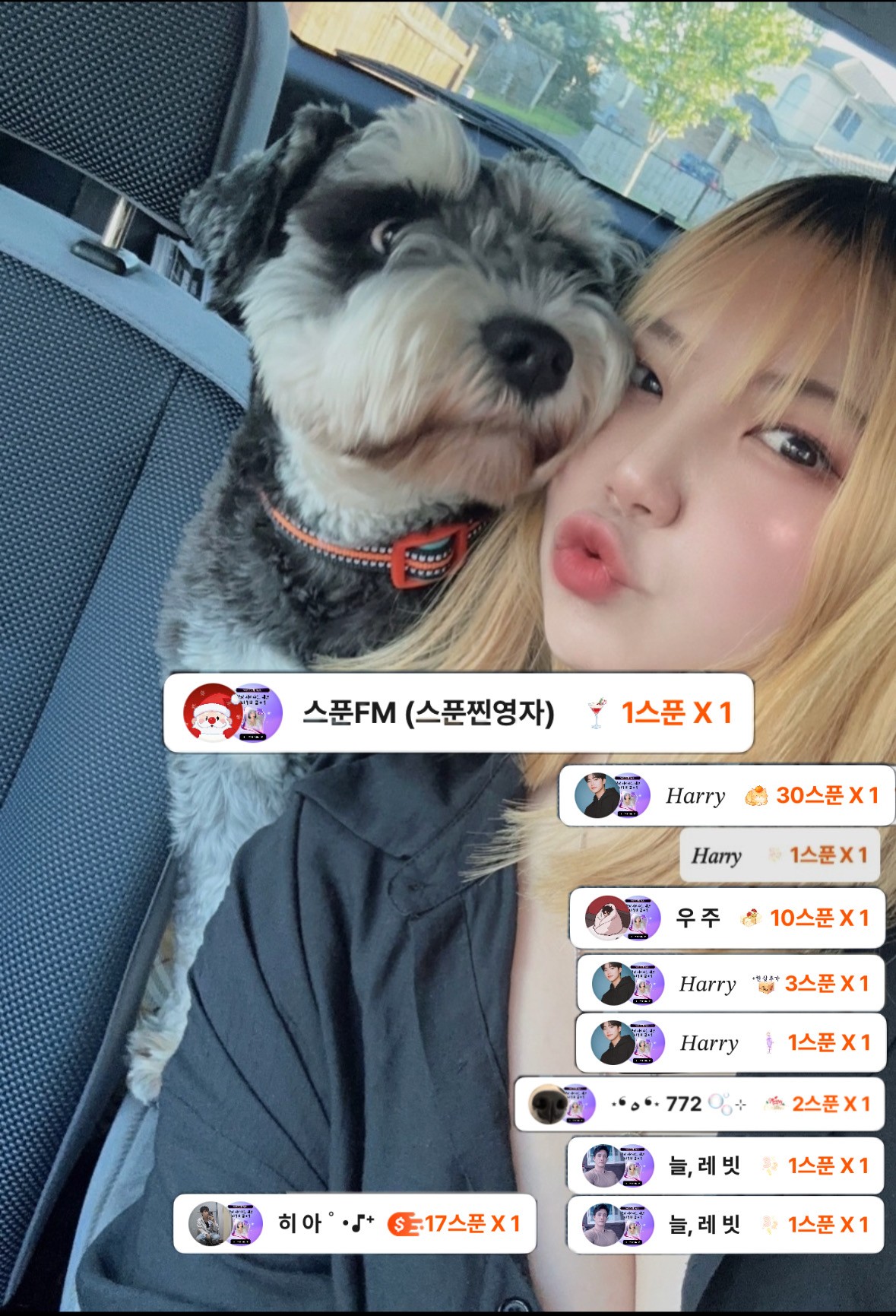 편안한 이시간,