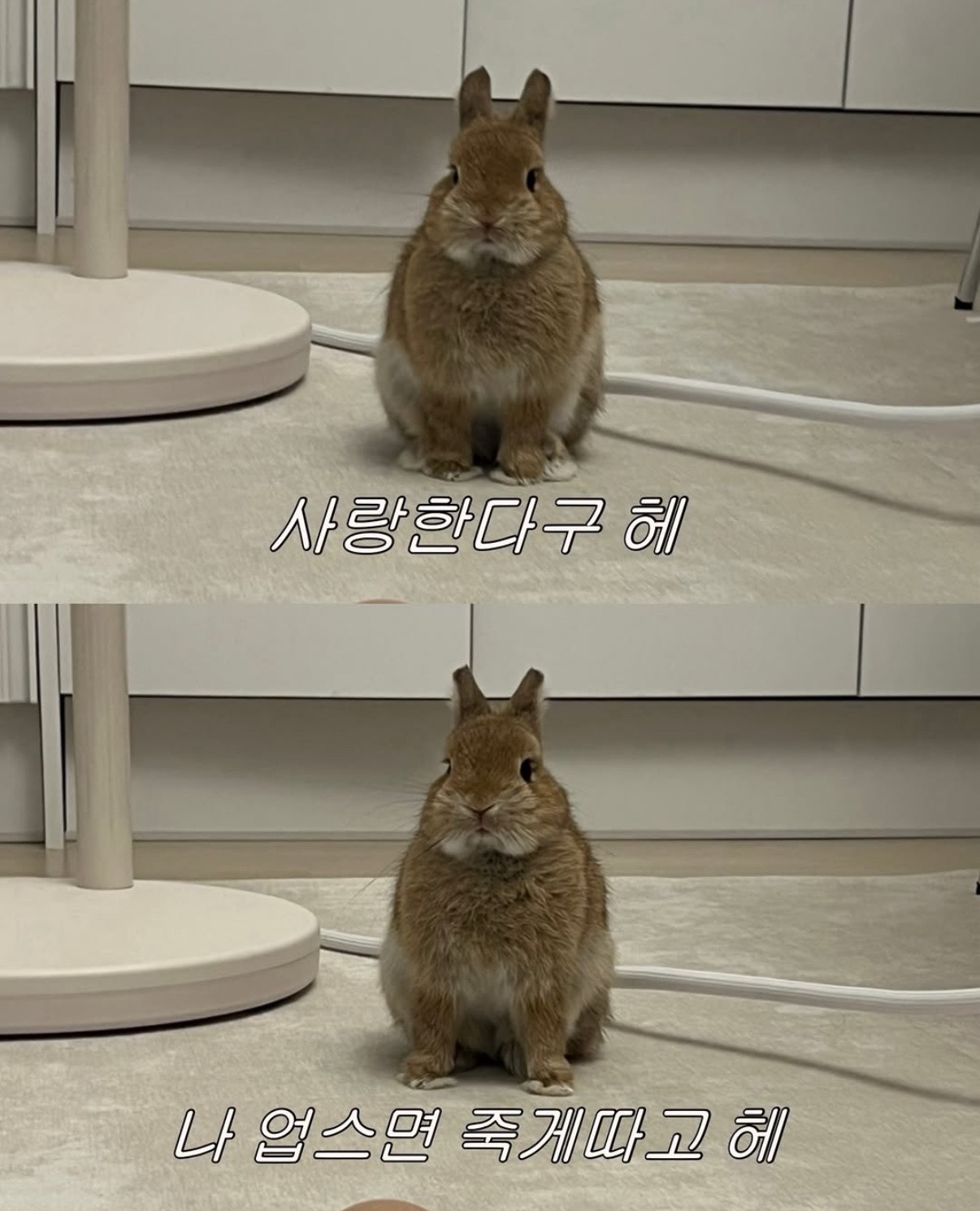 중미성 좋아하세요?