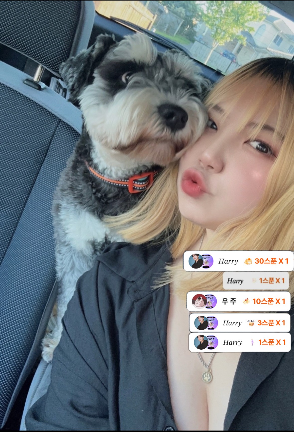 편안한 이시간,