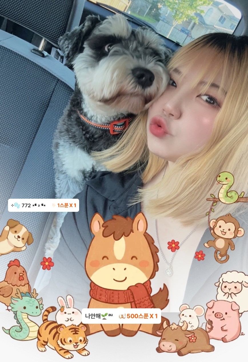 편안한 이시간,