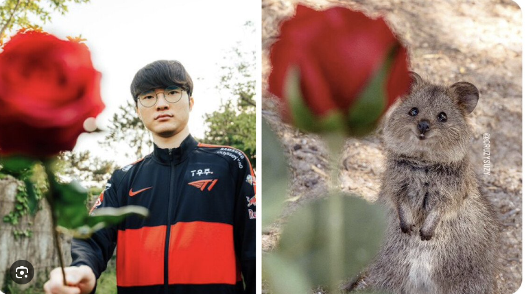 드디어 기어나온 연나. 