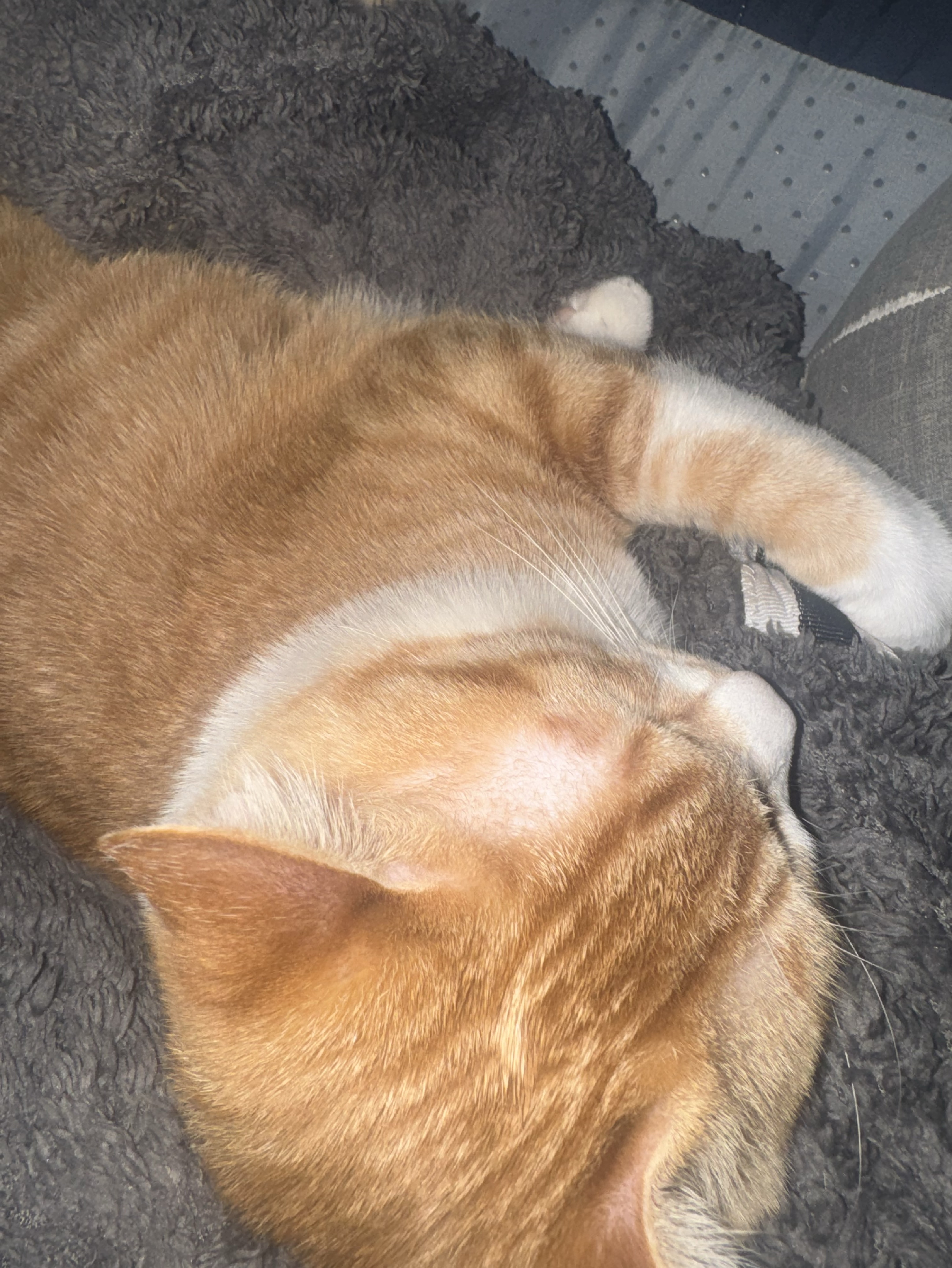 #17.   보고싶어, 언제와?