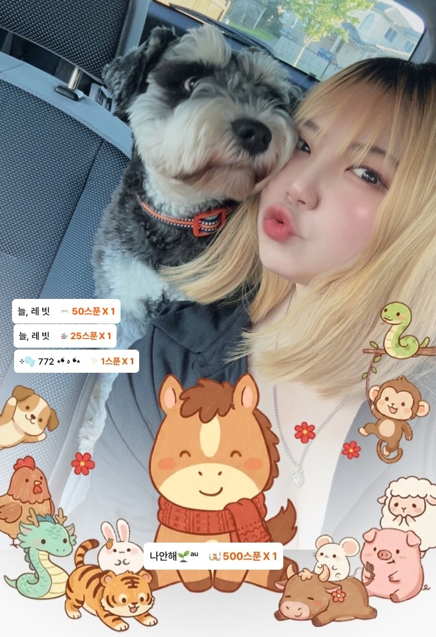 편안한 이시간,