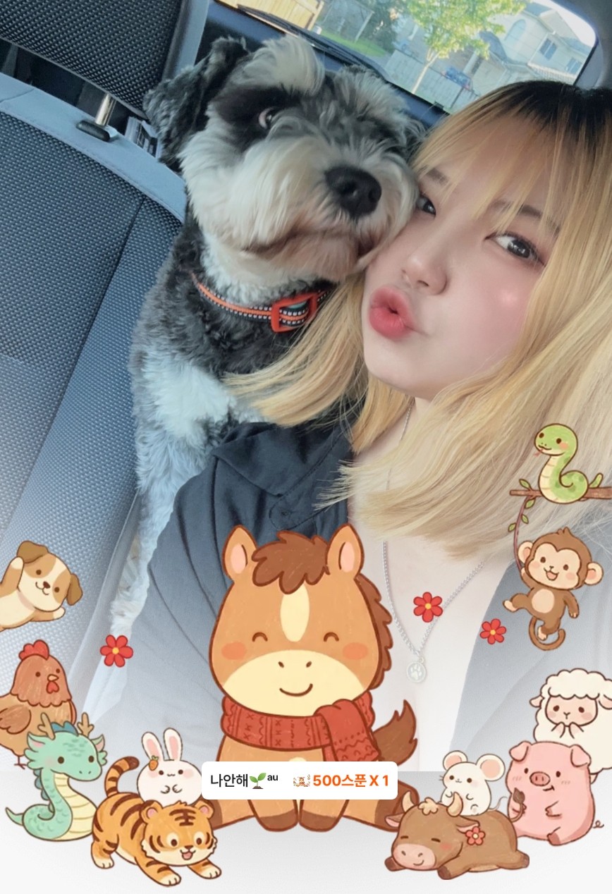 편안한 이시간,