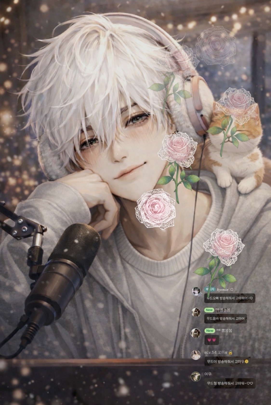 18.  고양이 보고 갈래?