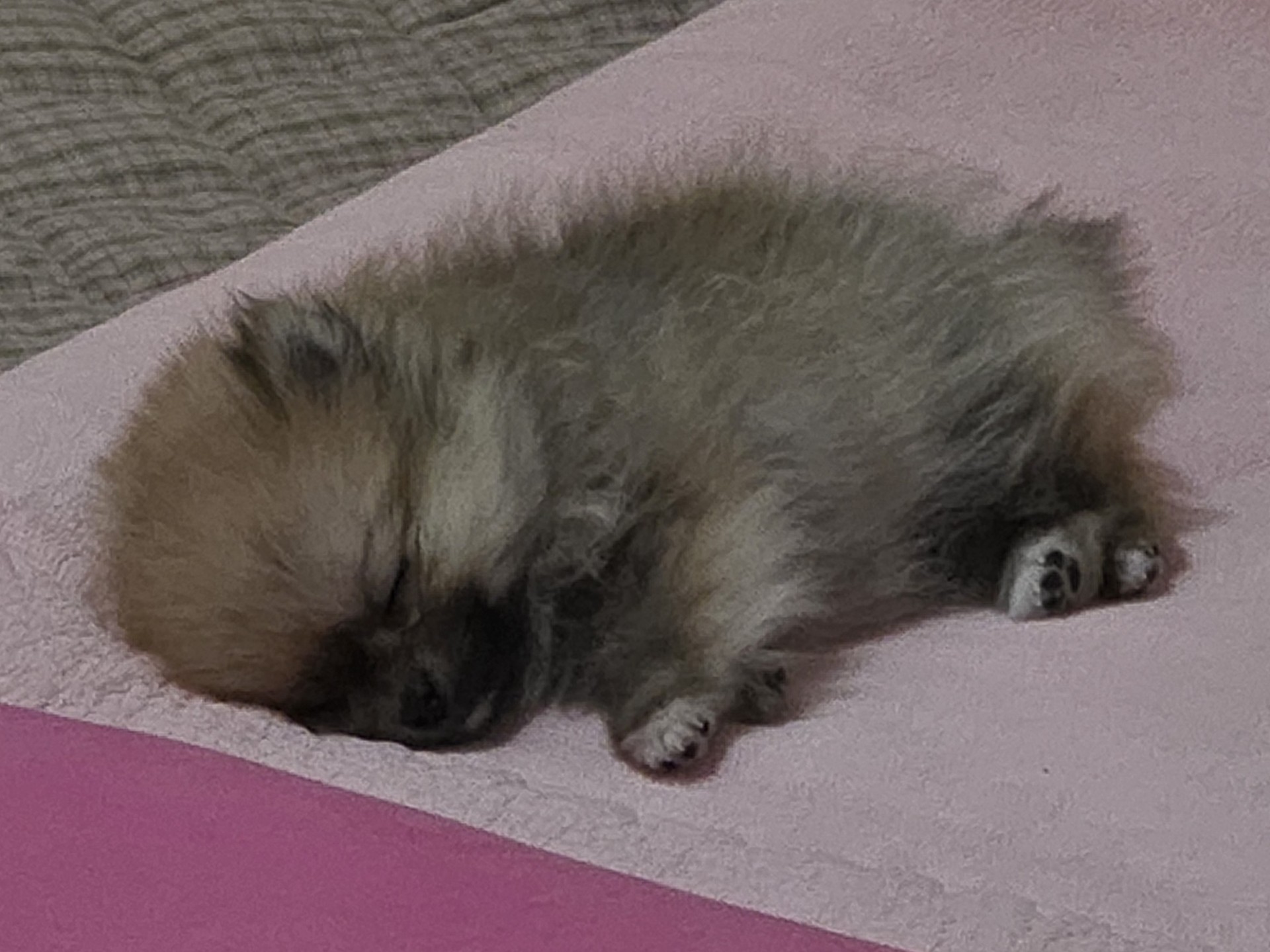 언제끌지모르는 잠깐 킨 방송