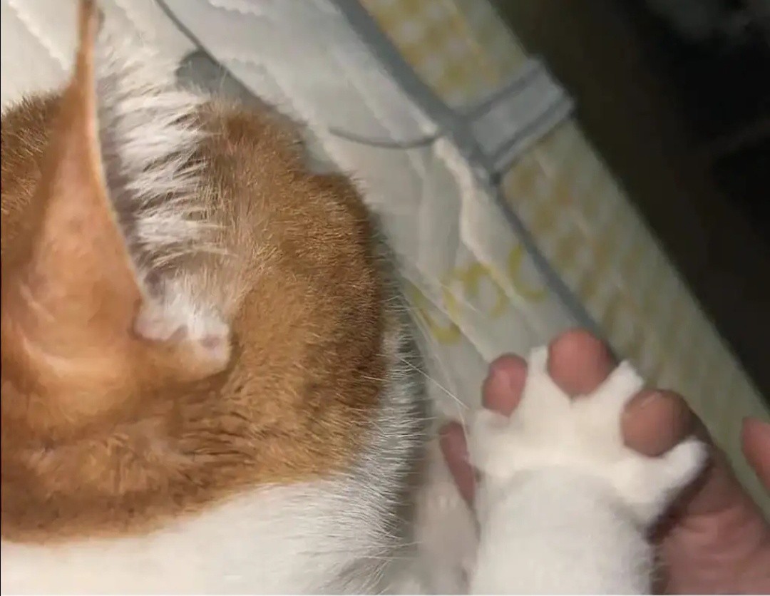 17일, 좋은 아침