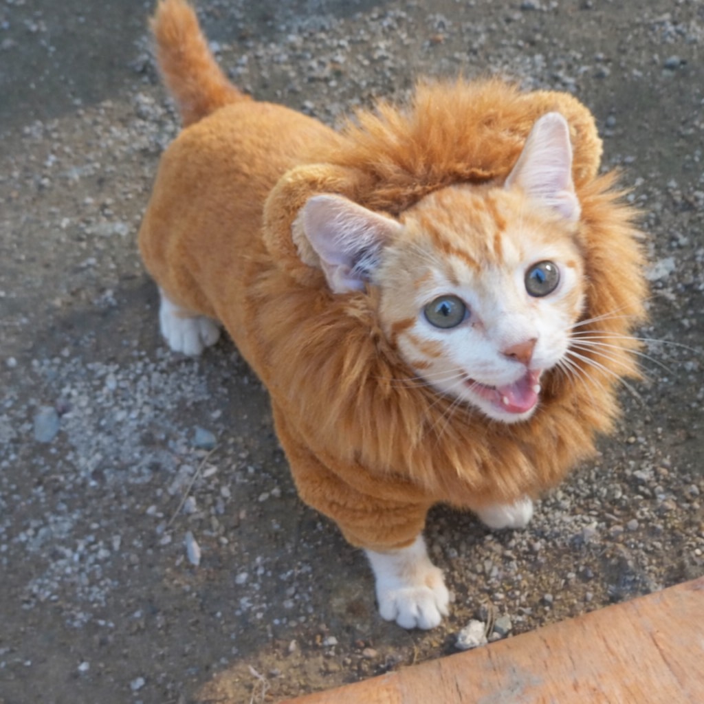 18.  떠나는 그녀들...