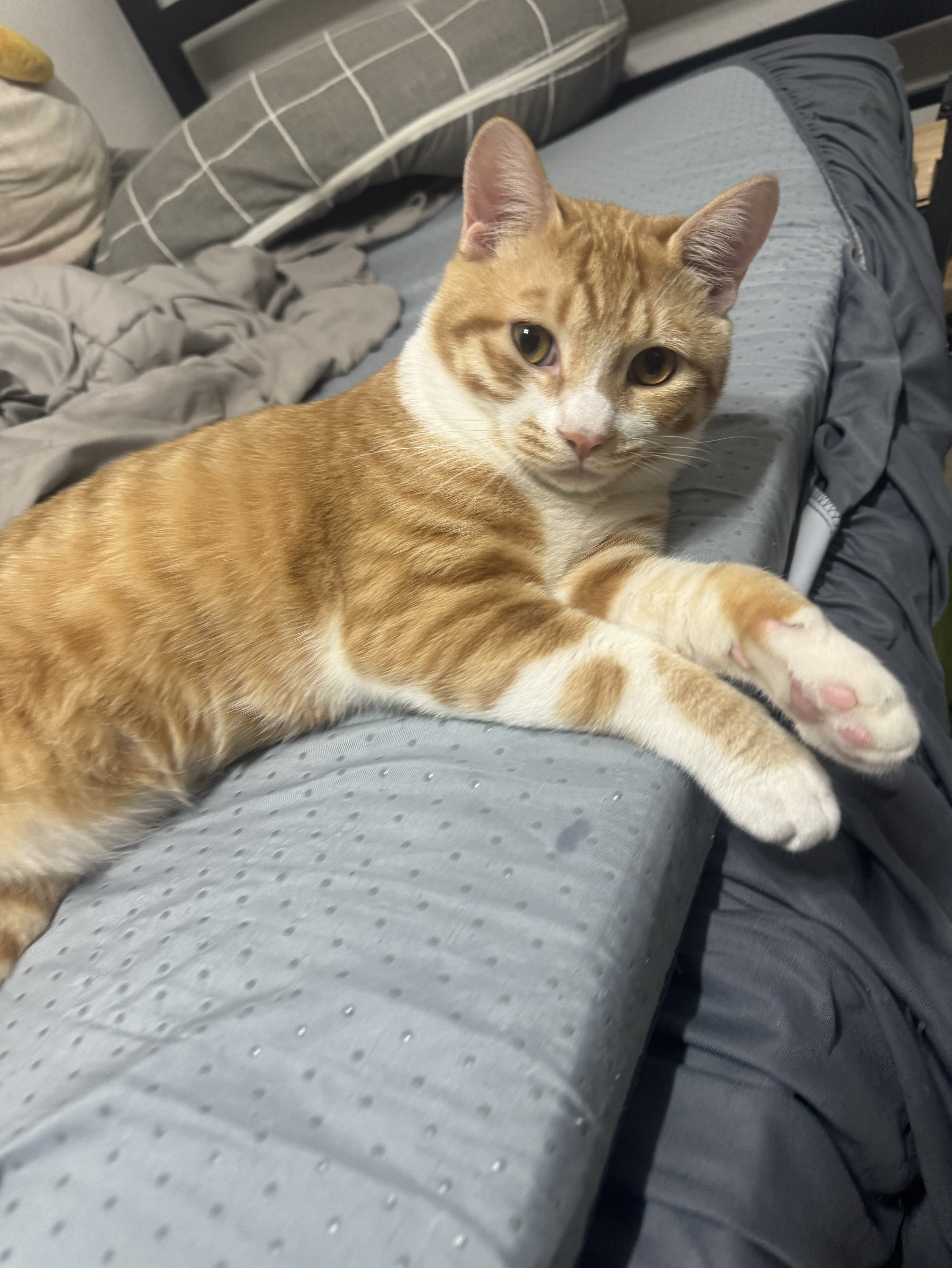 17.  보고싶어, 언제와?