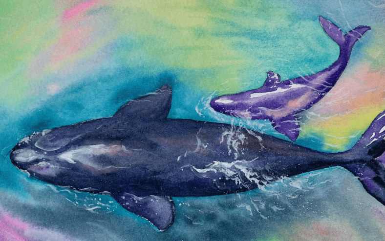 다들 건강한 연말 보내요