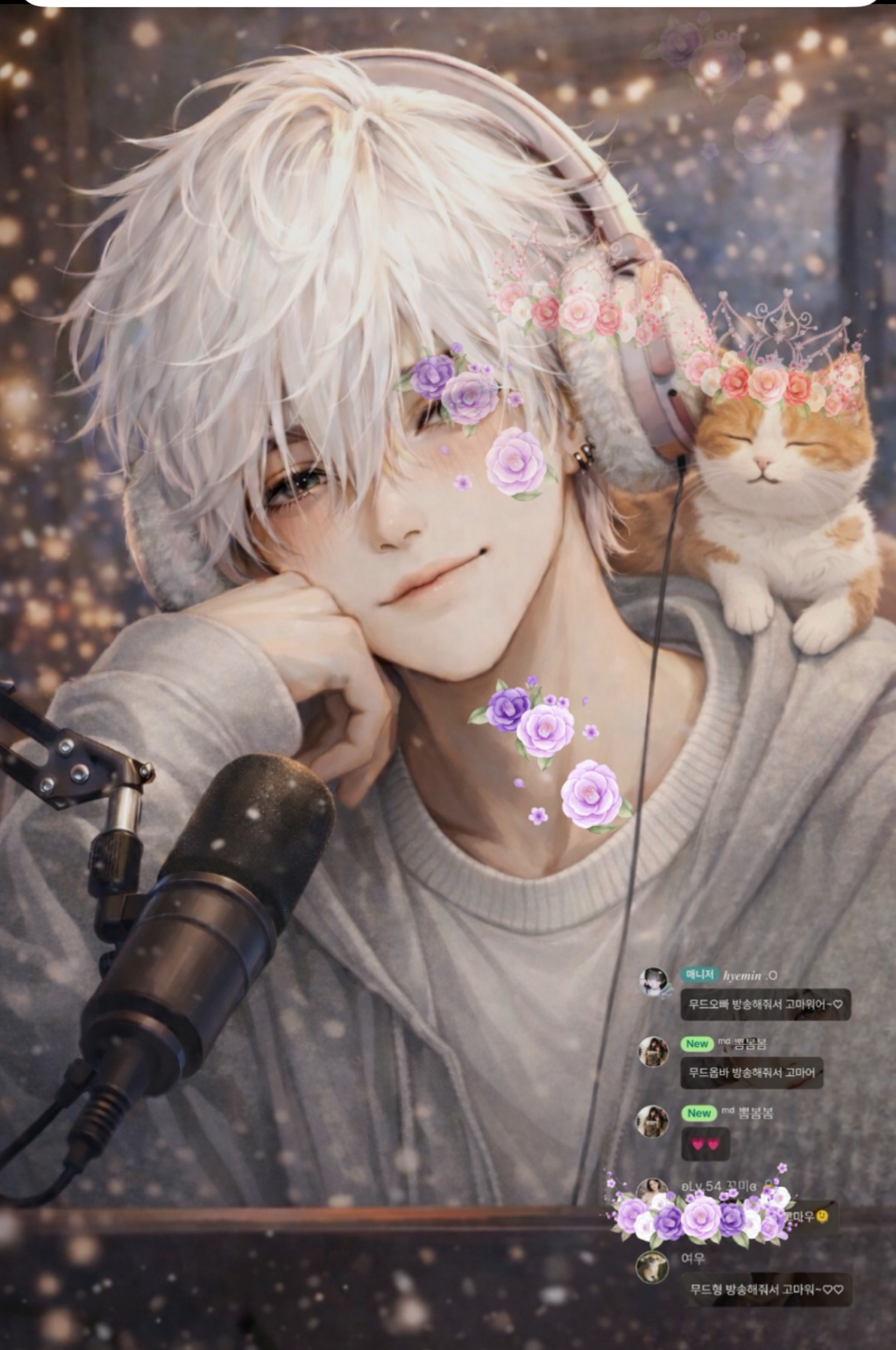 18.  고양이 보고 갈래?