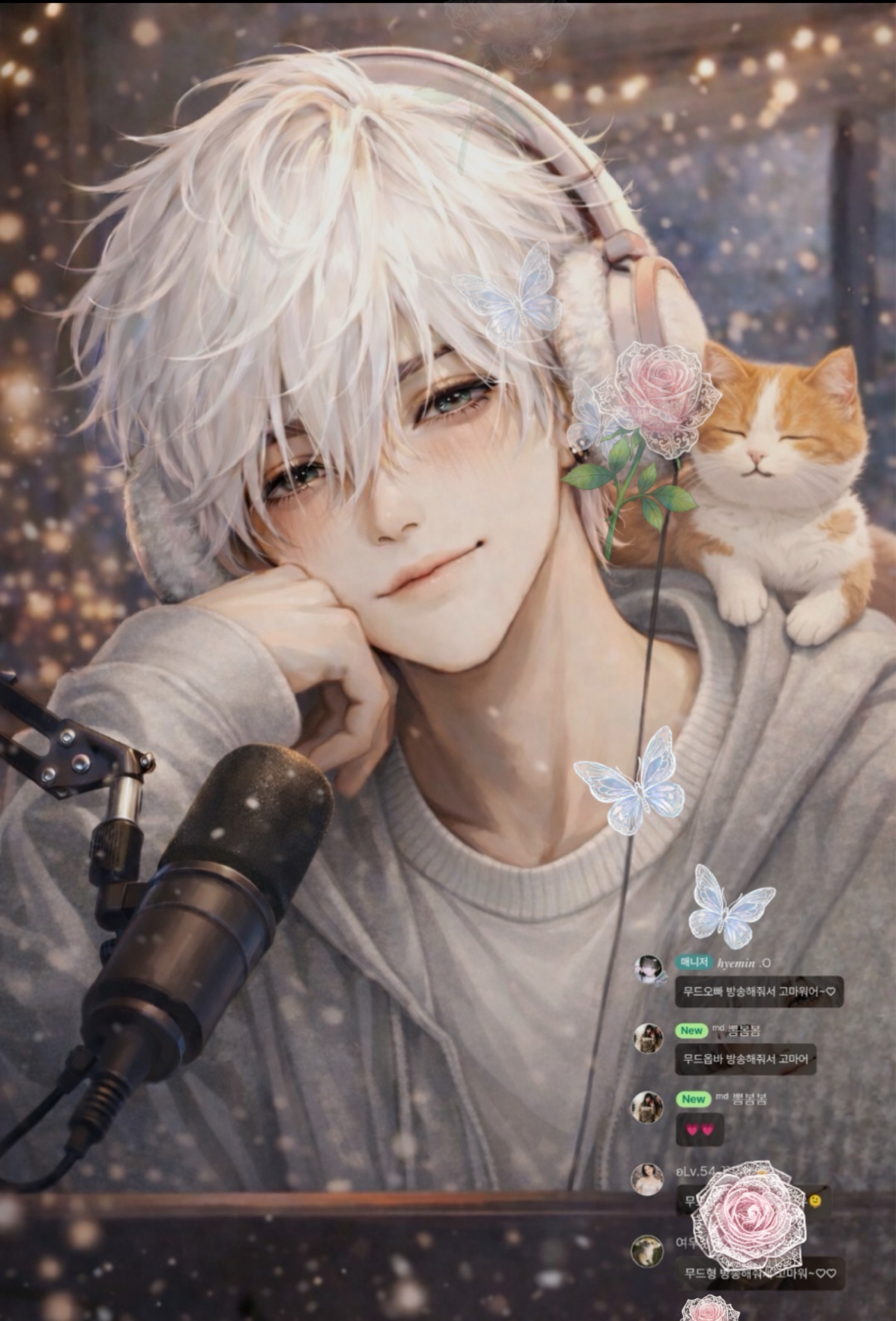 18.  고양이 보고 갈래?