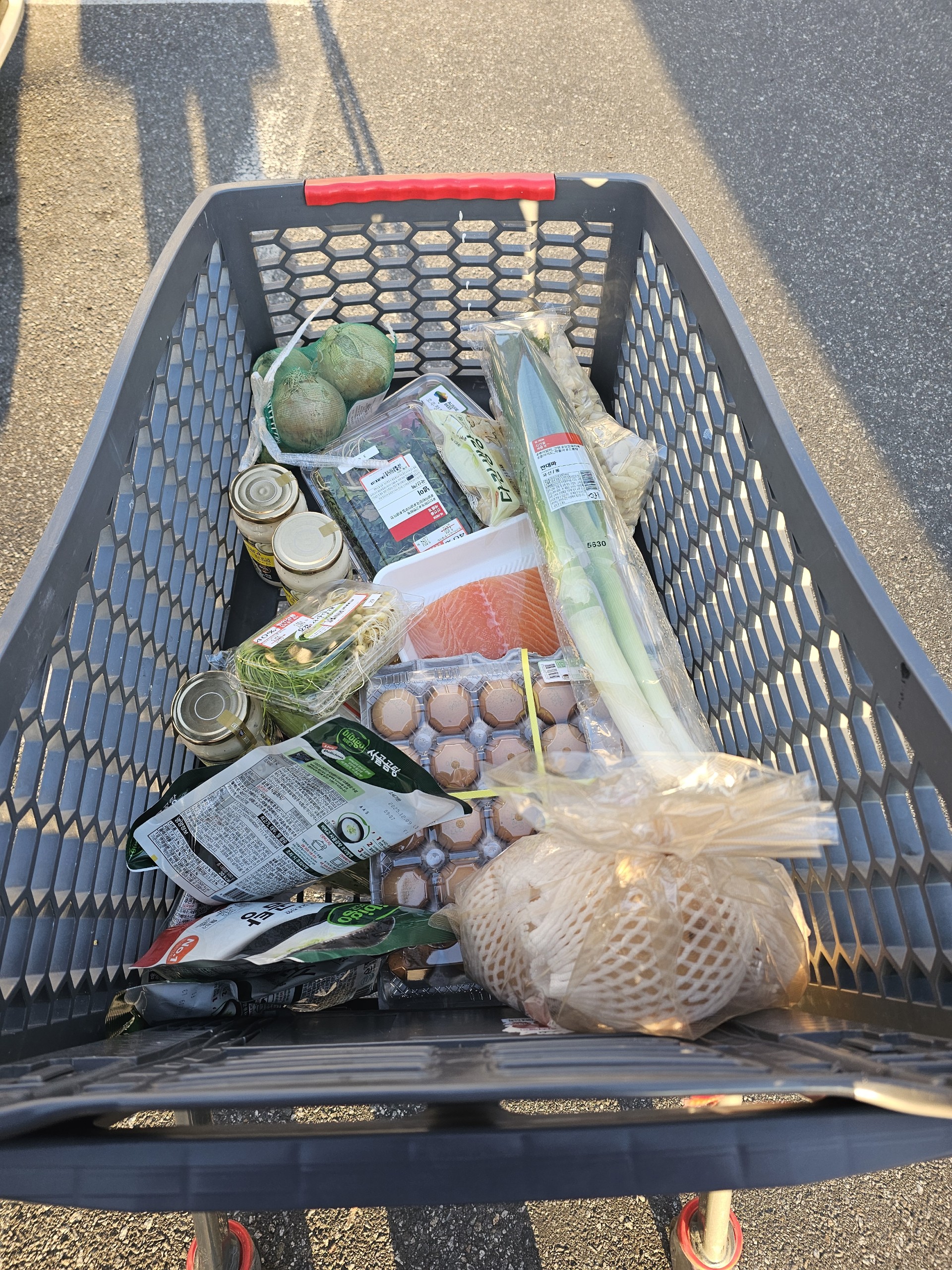 아 라콜이나 하쟈