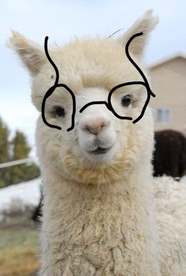 18. 보고싶어, 언제와?