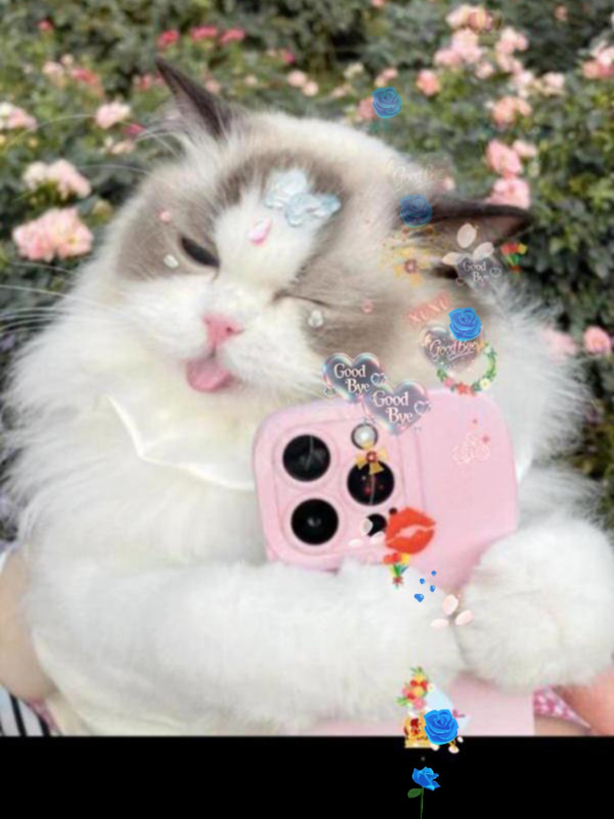 연하남의 앙탈🩷