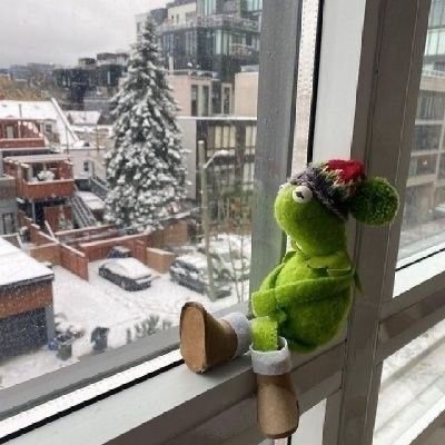 연말 겨울감성 금치 Pli🎵