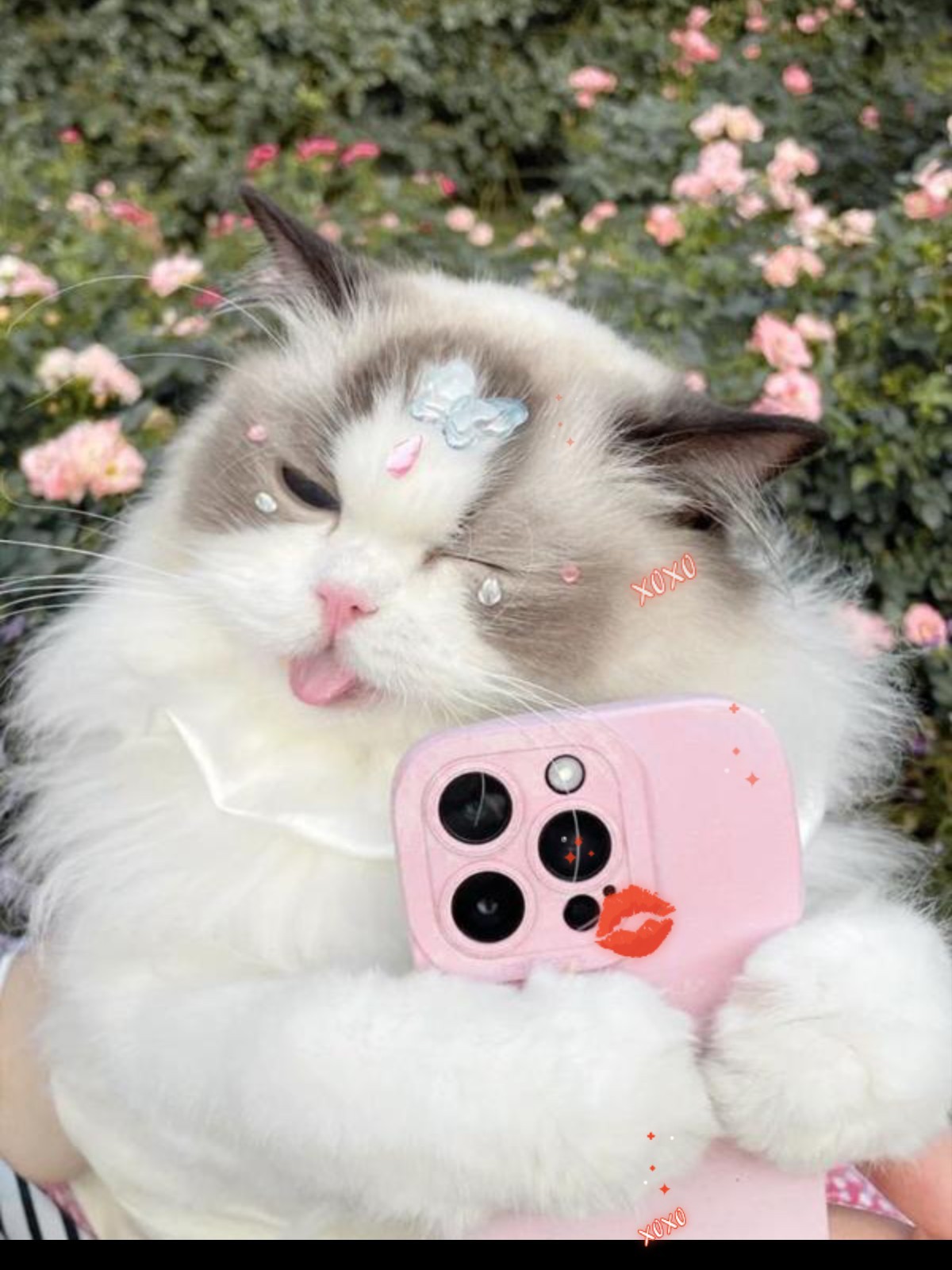 연하남의 앙탈🩷