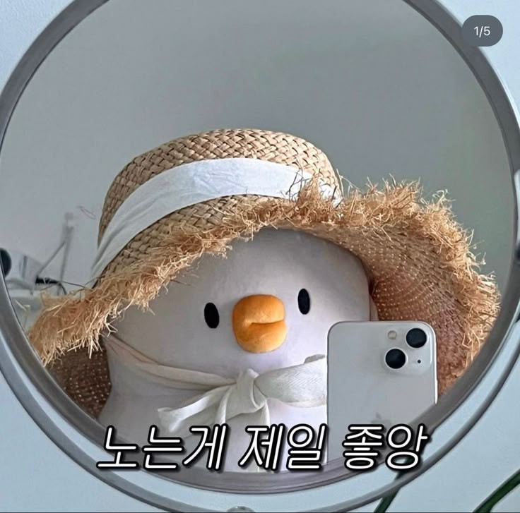 라콜 대리방송 (🩷)