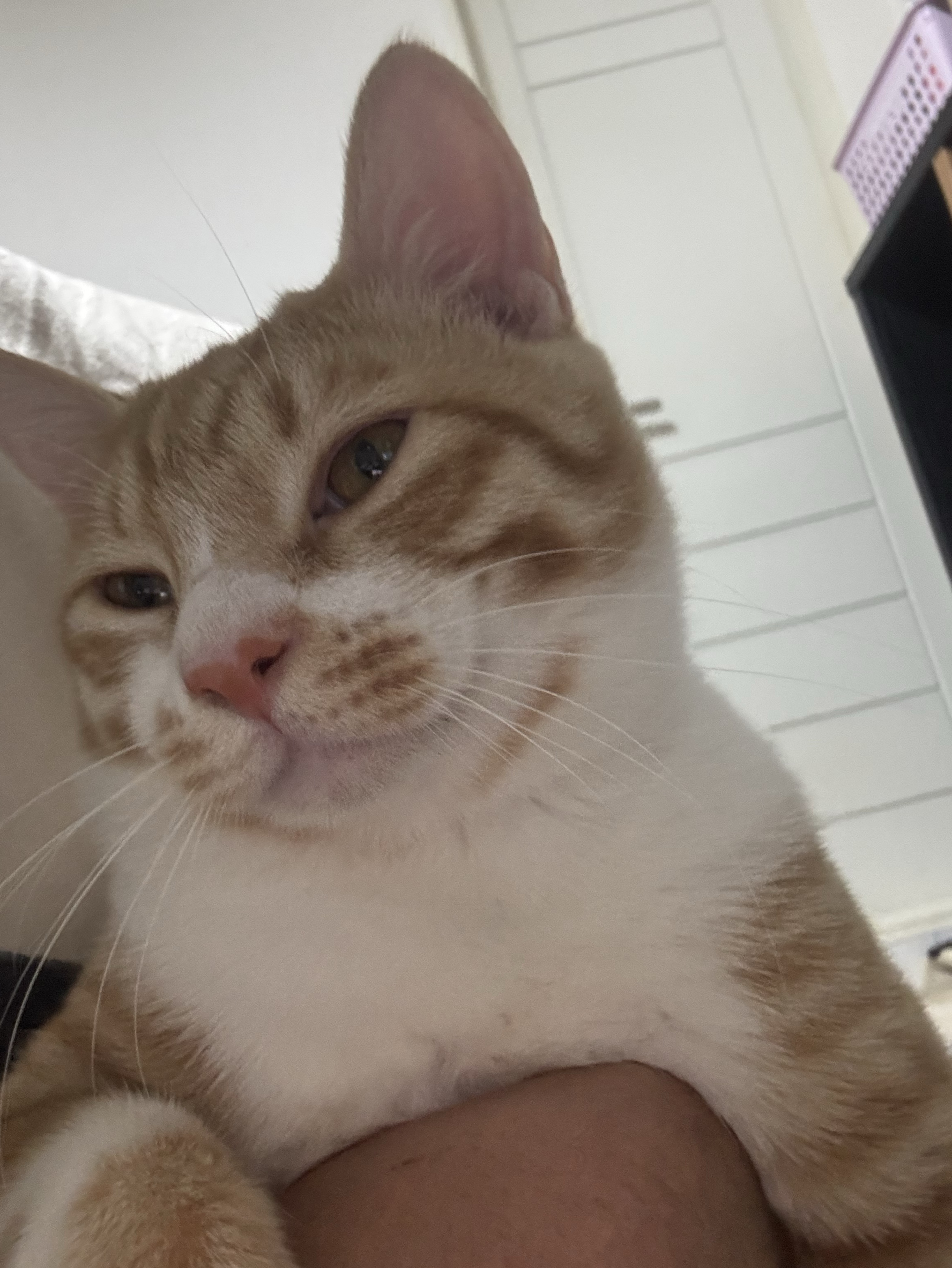 19.  보고싶어,  언제와?