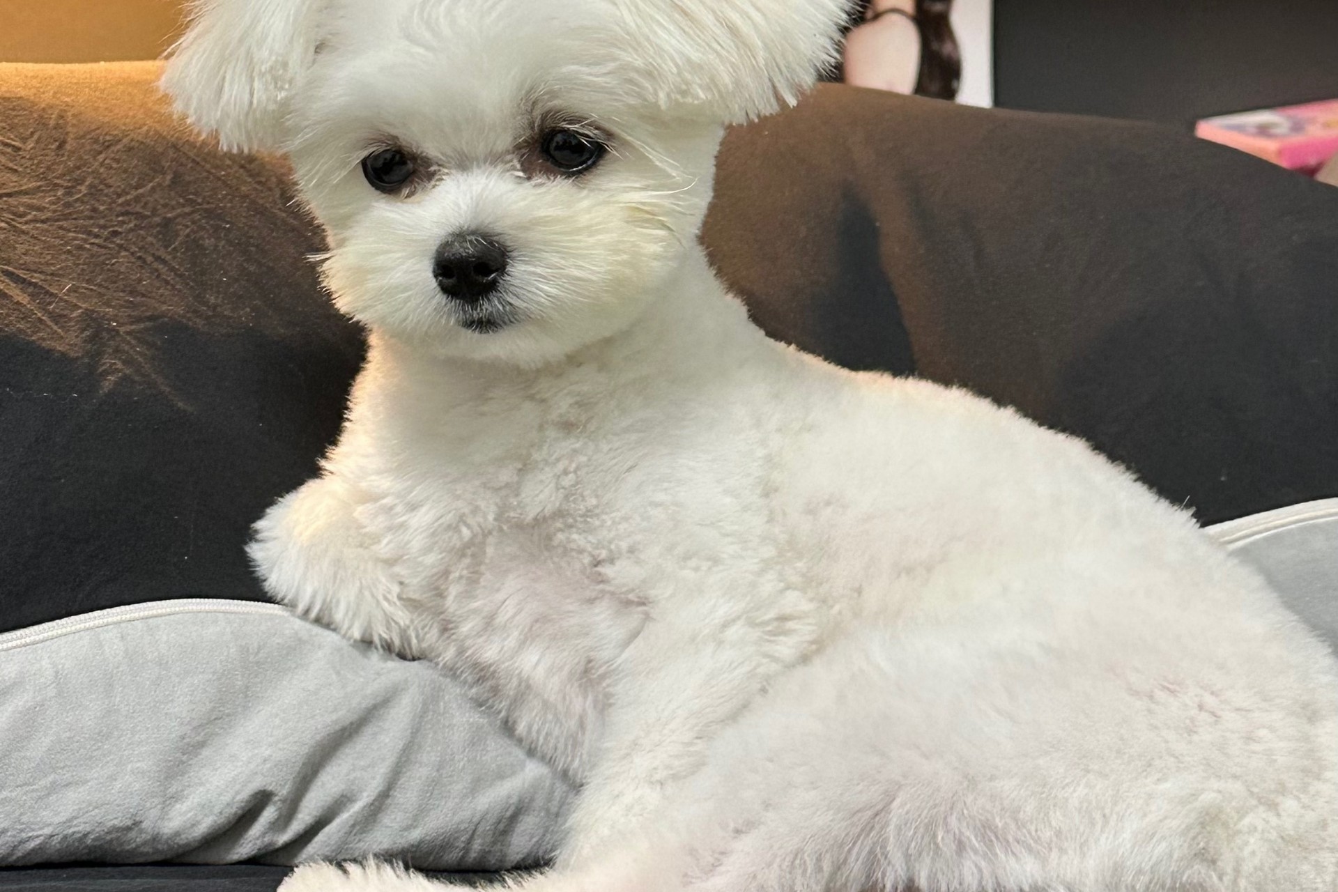 1월 1일도 함께하기 ㅎ